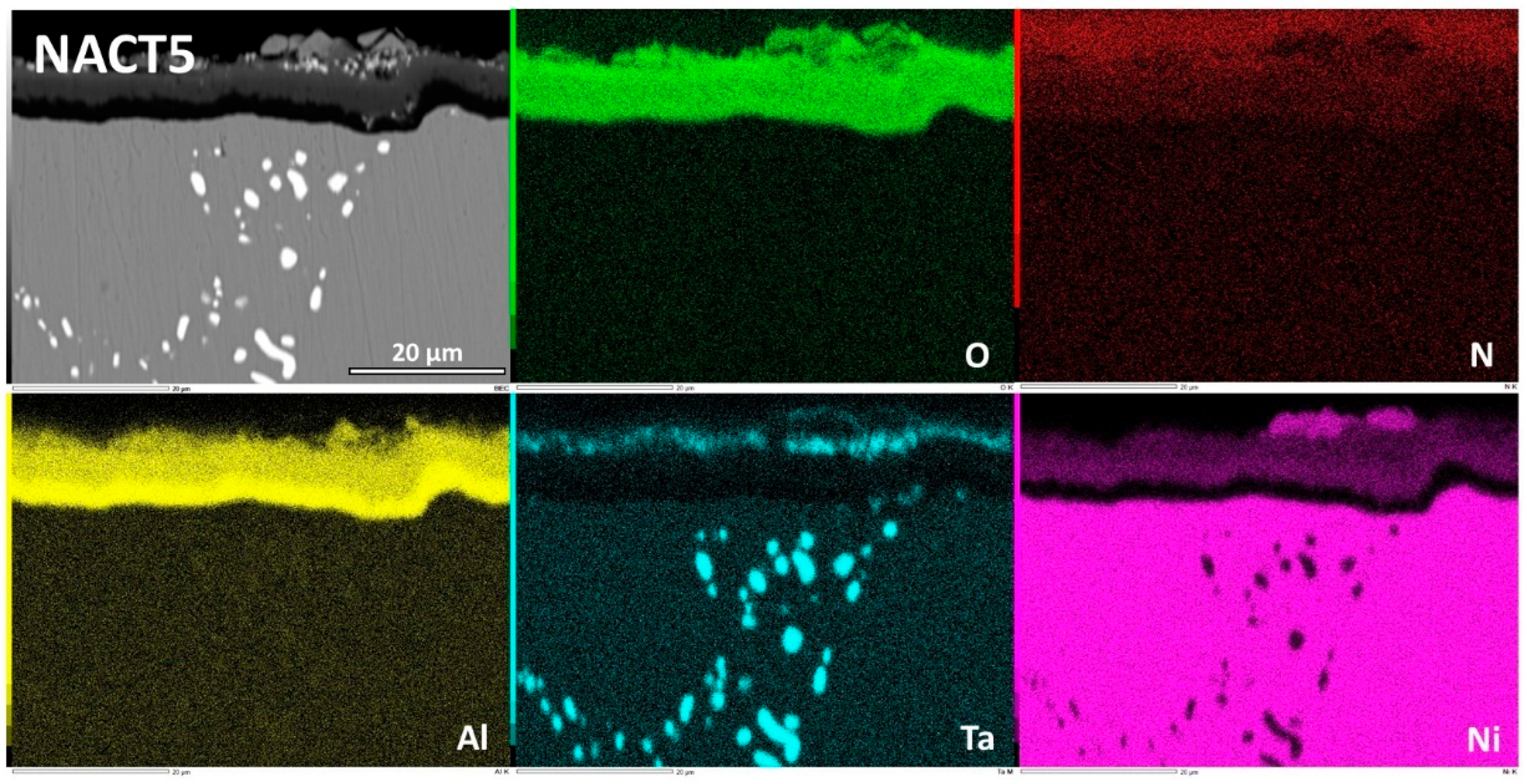 Preprints 191189 g013