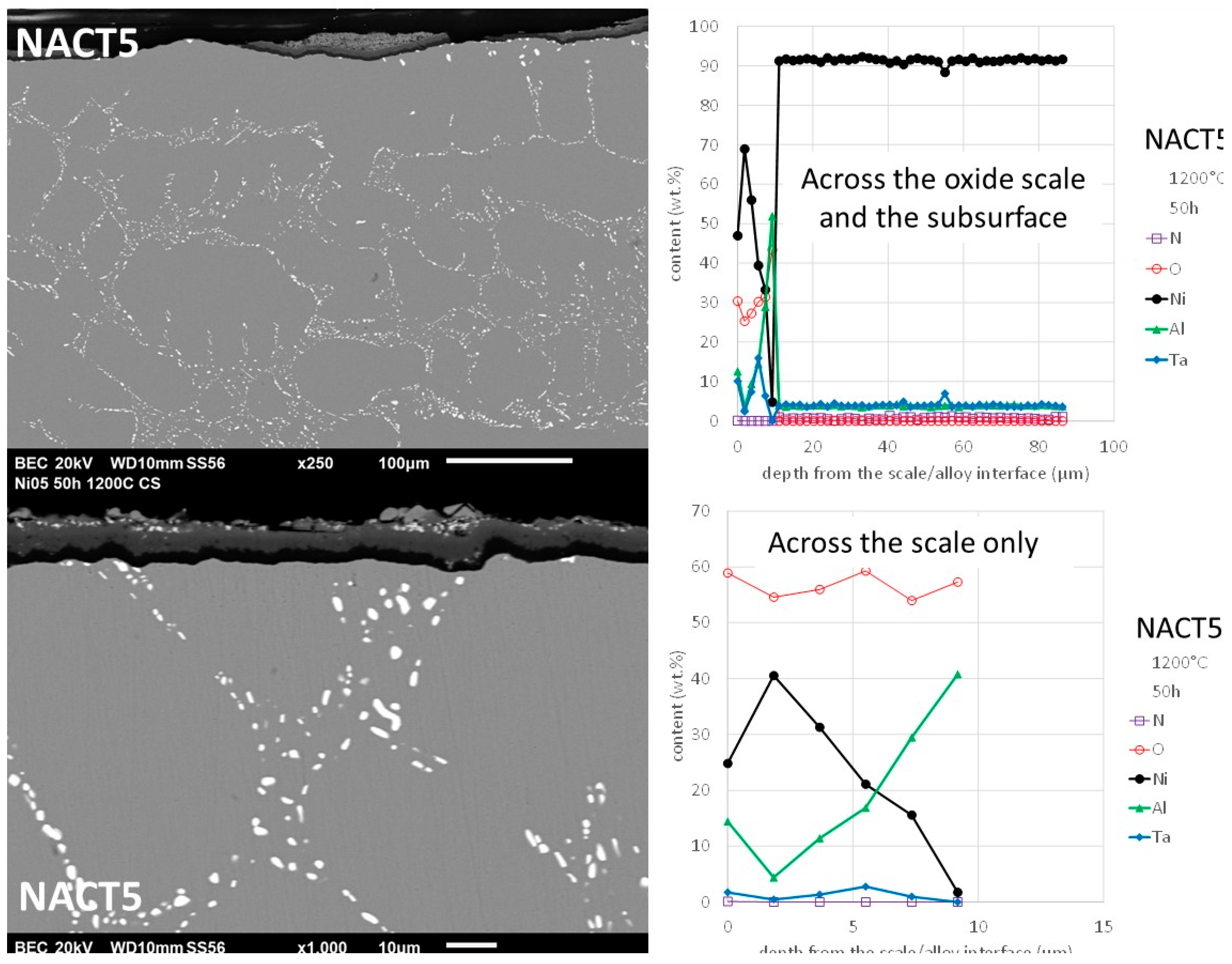 Preprints 191189 g014