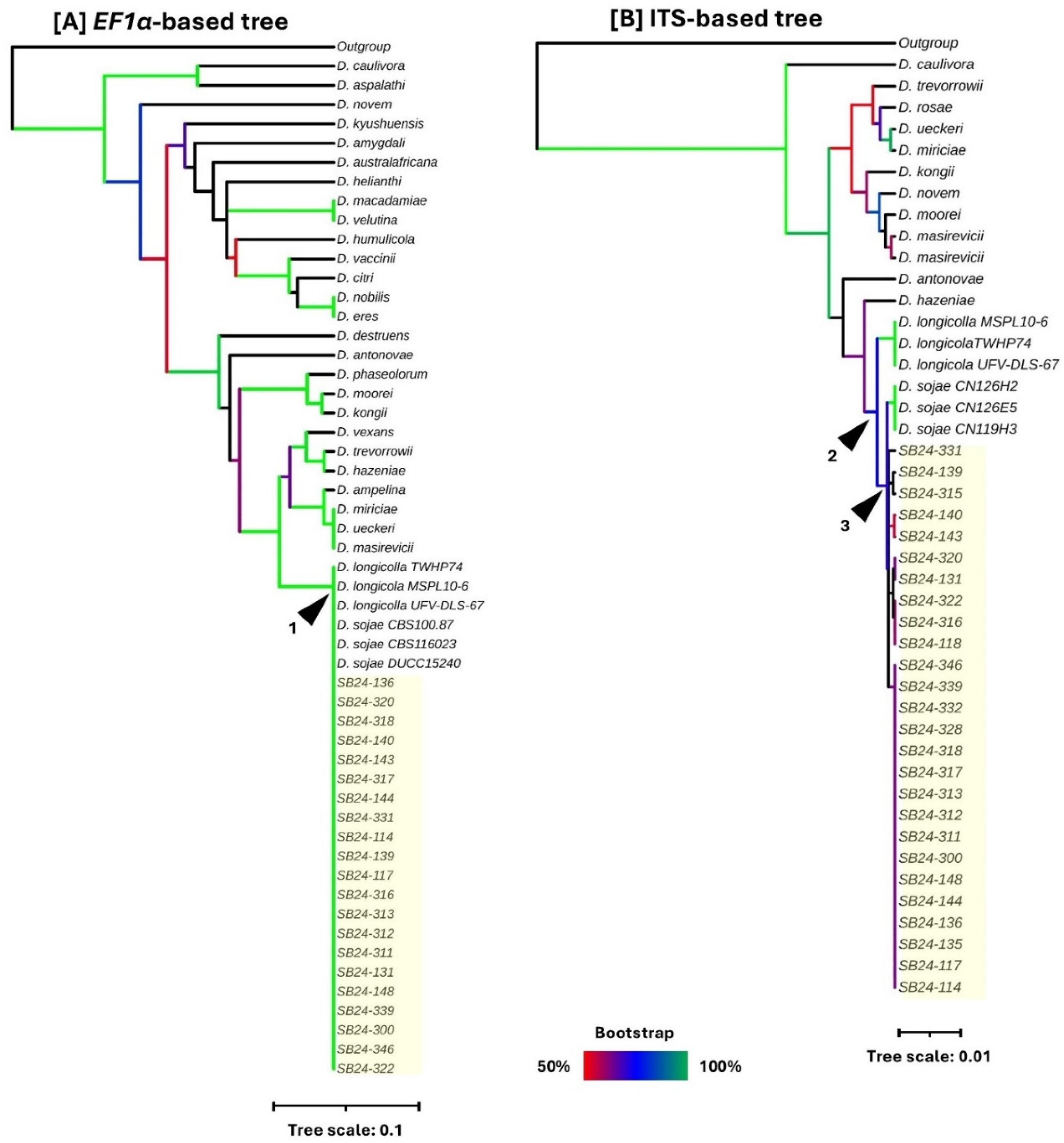 Preprints 194032 g003