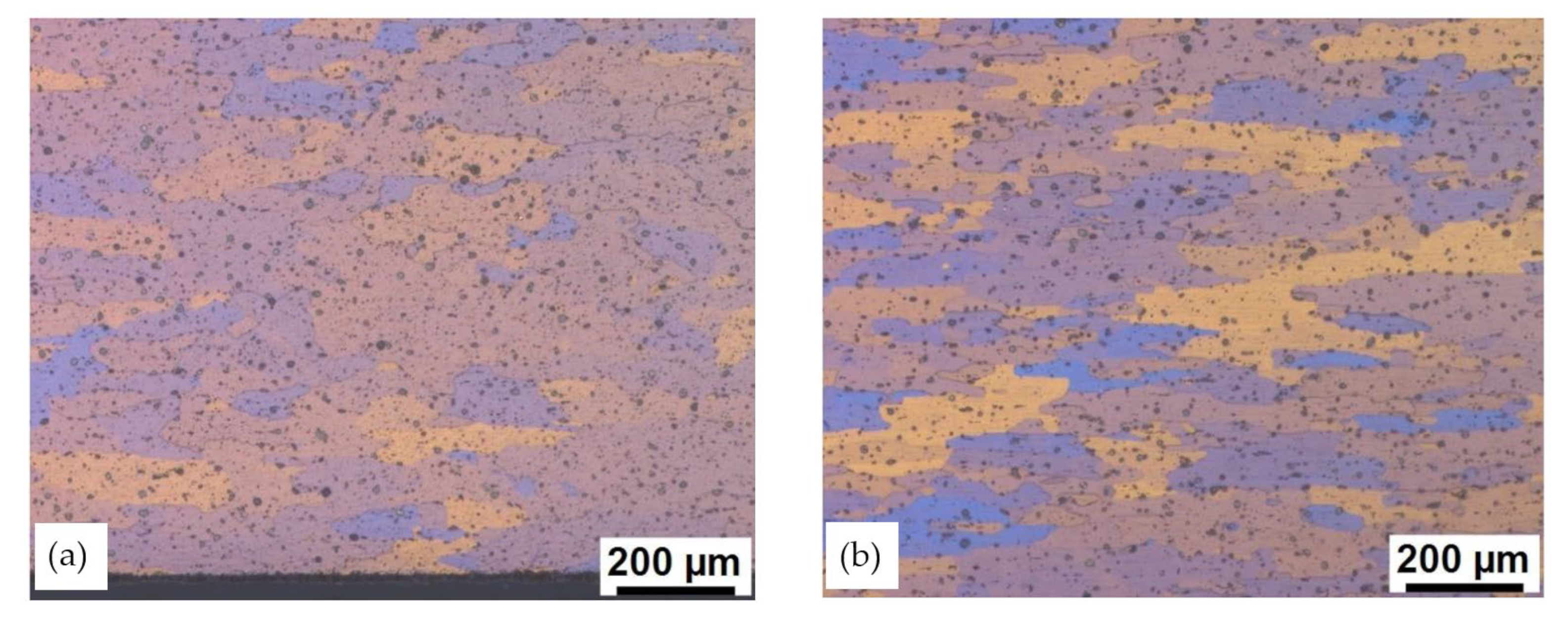 Preprints 101641 g002