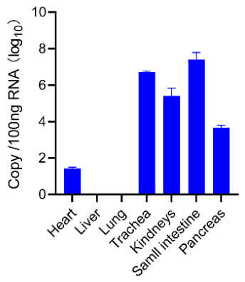 Preprints 230099 g003 Preprints 230099 g003