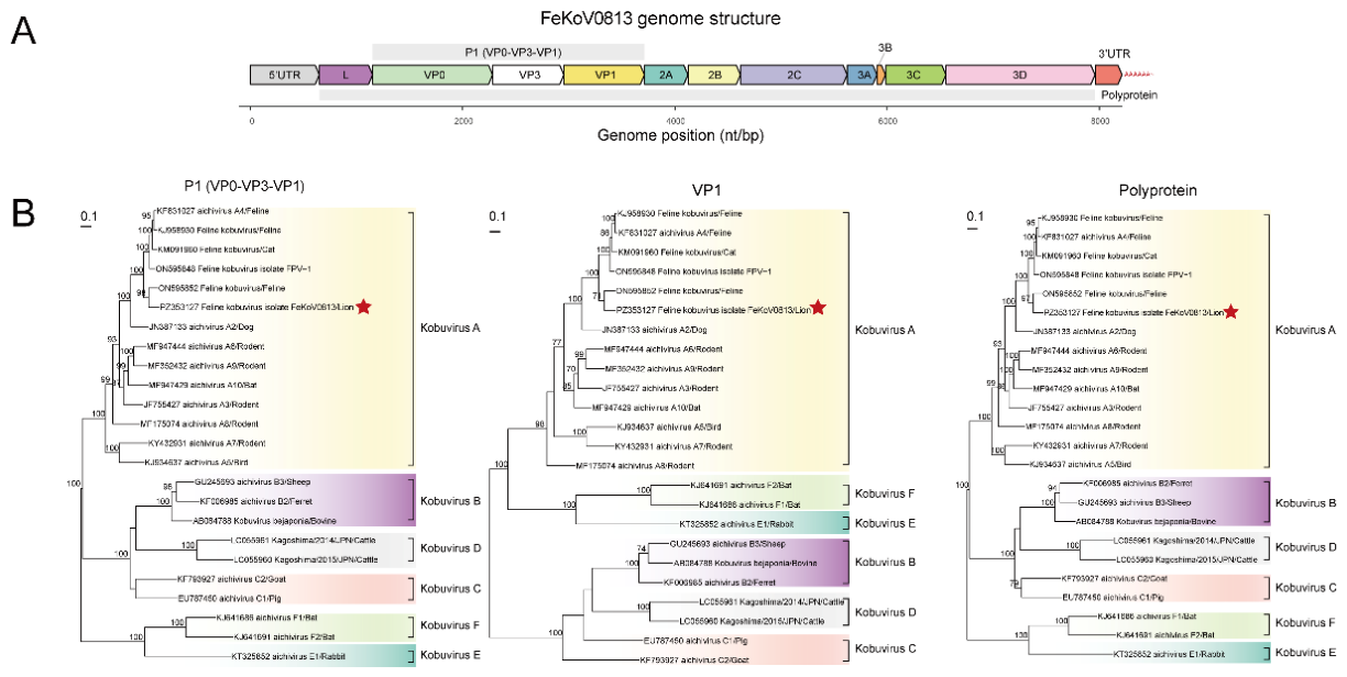 Preprints 230099 g004 Preprints 230099 g004