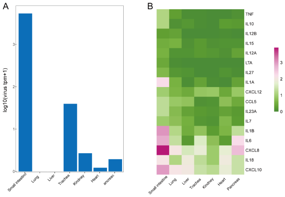 Preprints 230099 g005 Preprints 230099 g005