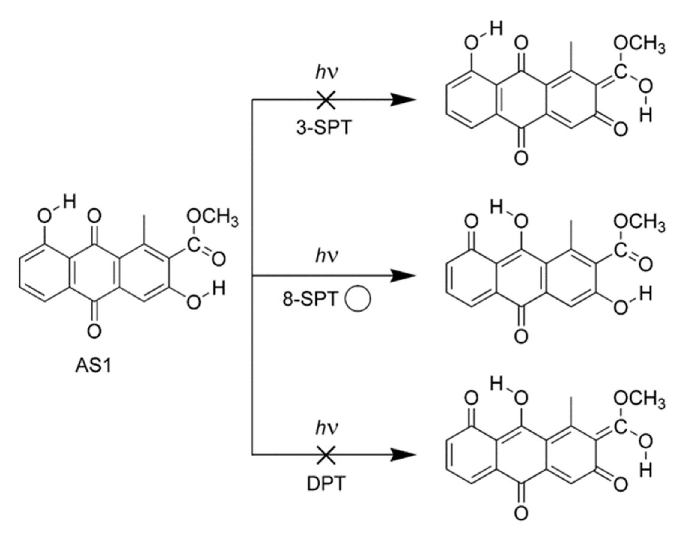 Preprints 84753 g007