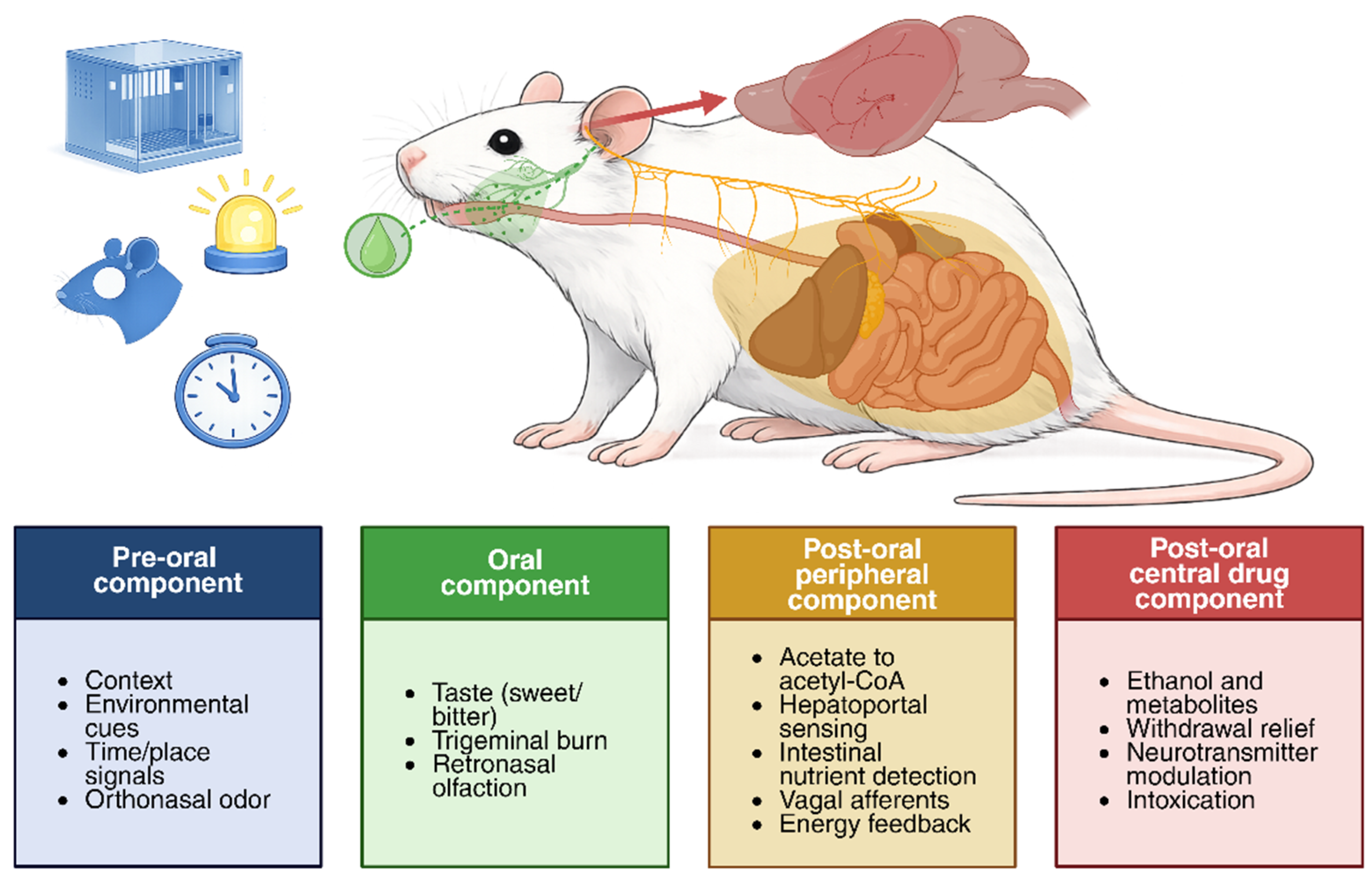Preprints 206024 g001