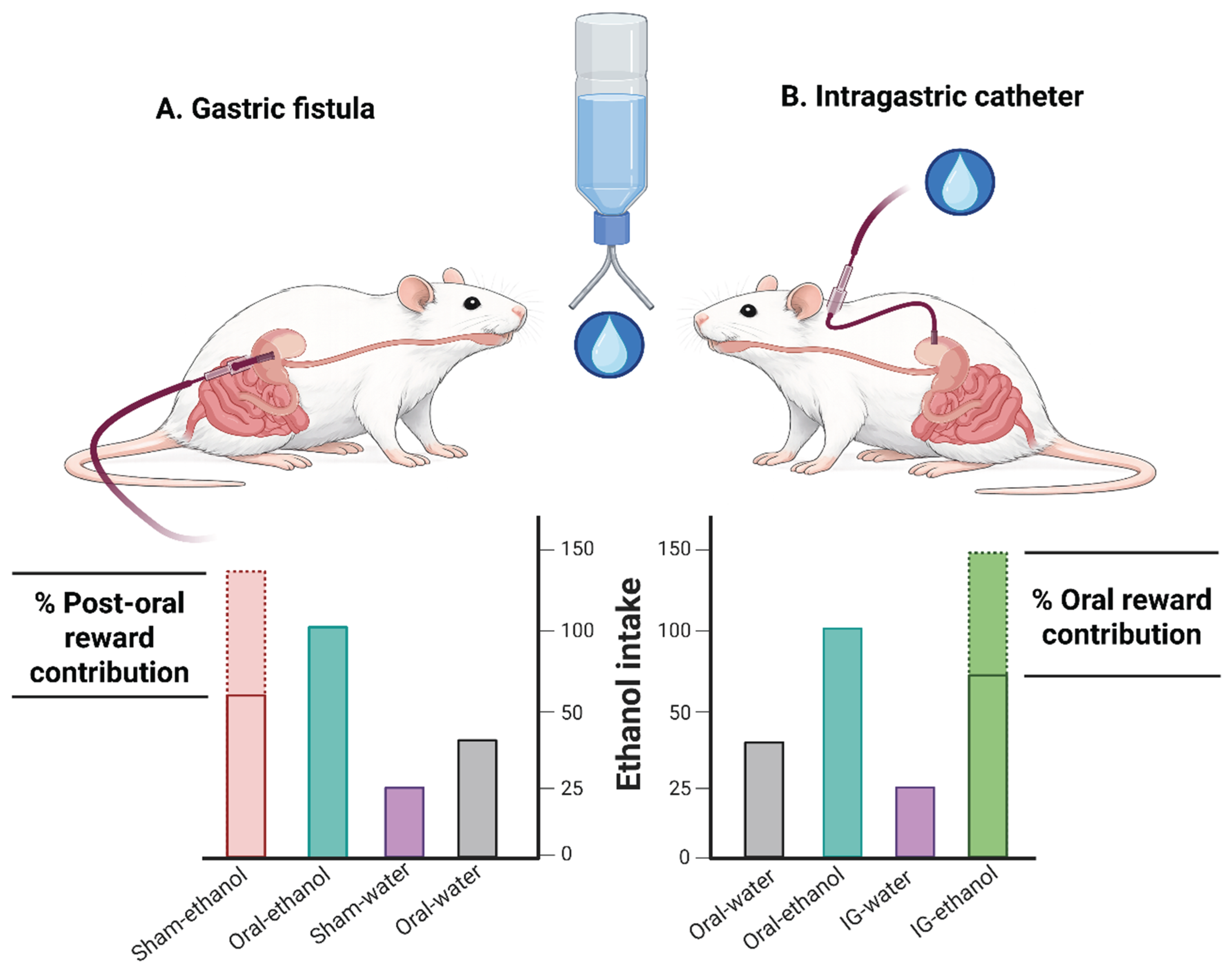 Preprints 206024 g003
