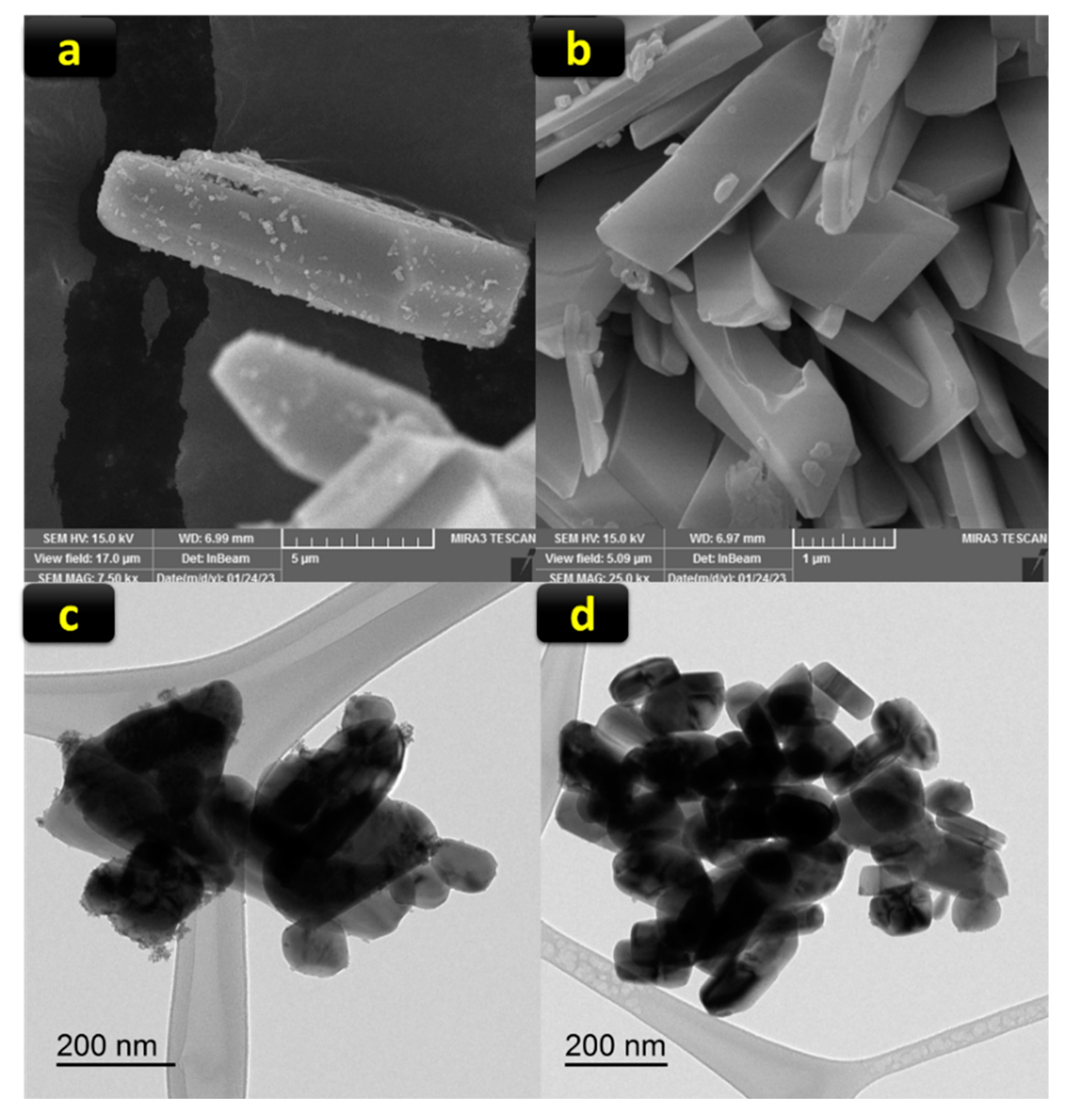 Preprints 138725 g002