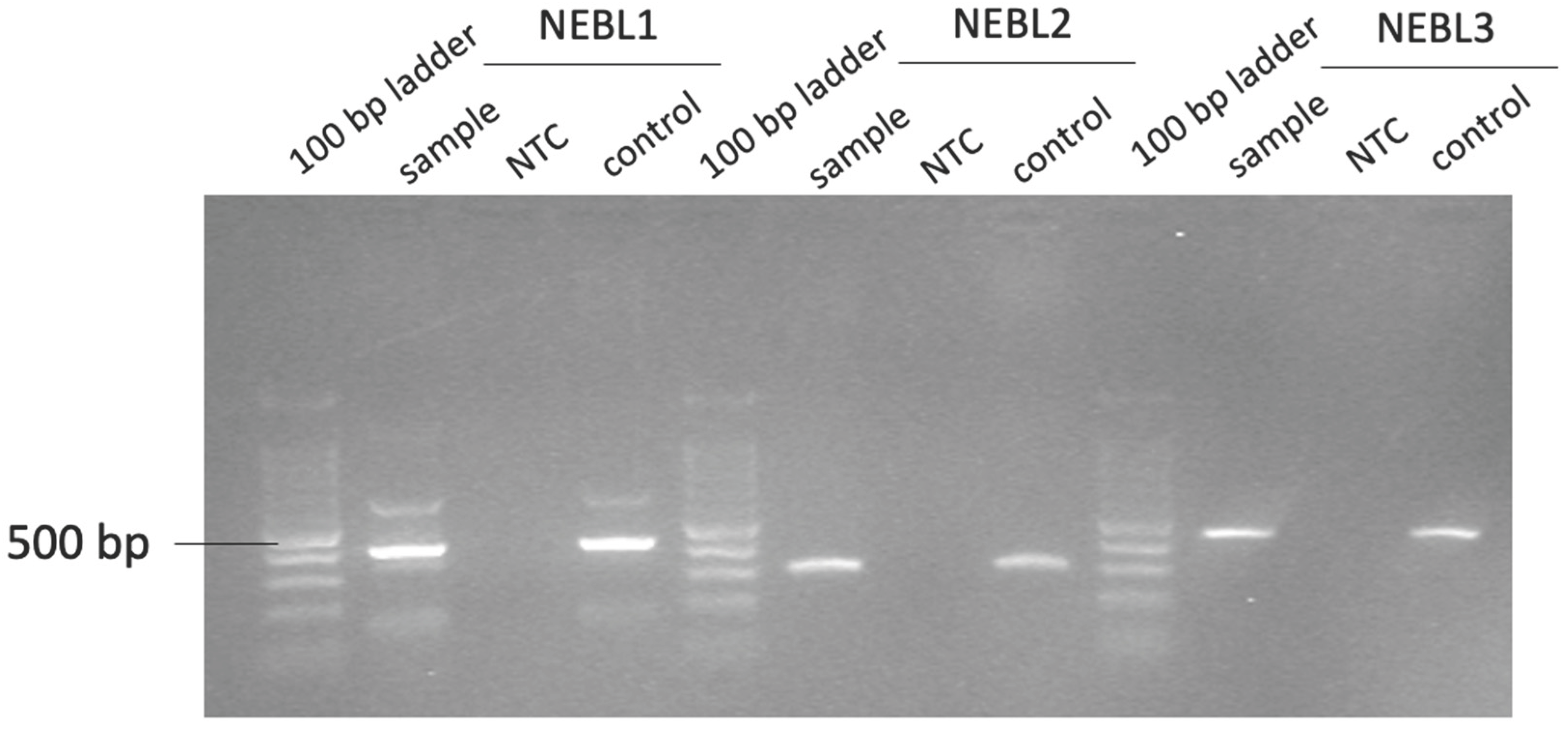 Preprints 184827 g001