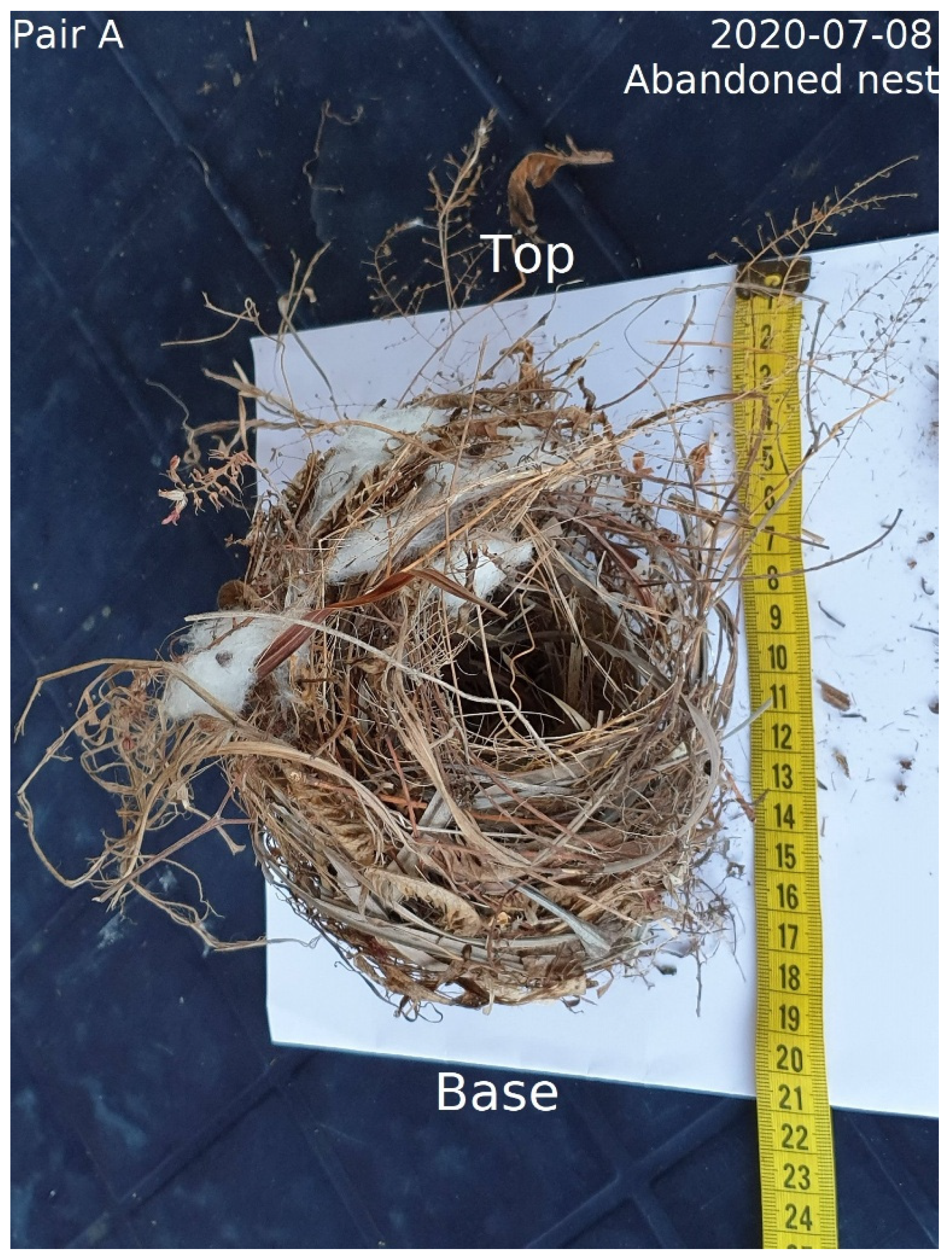 Preprints 176596 g003