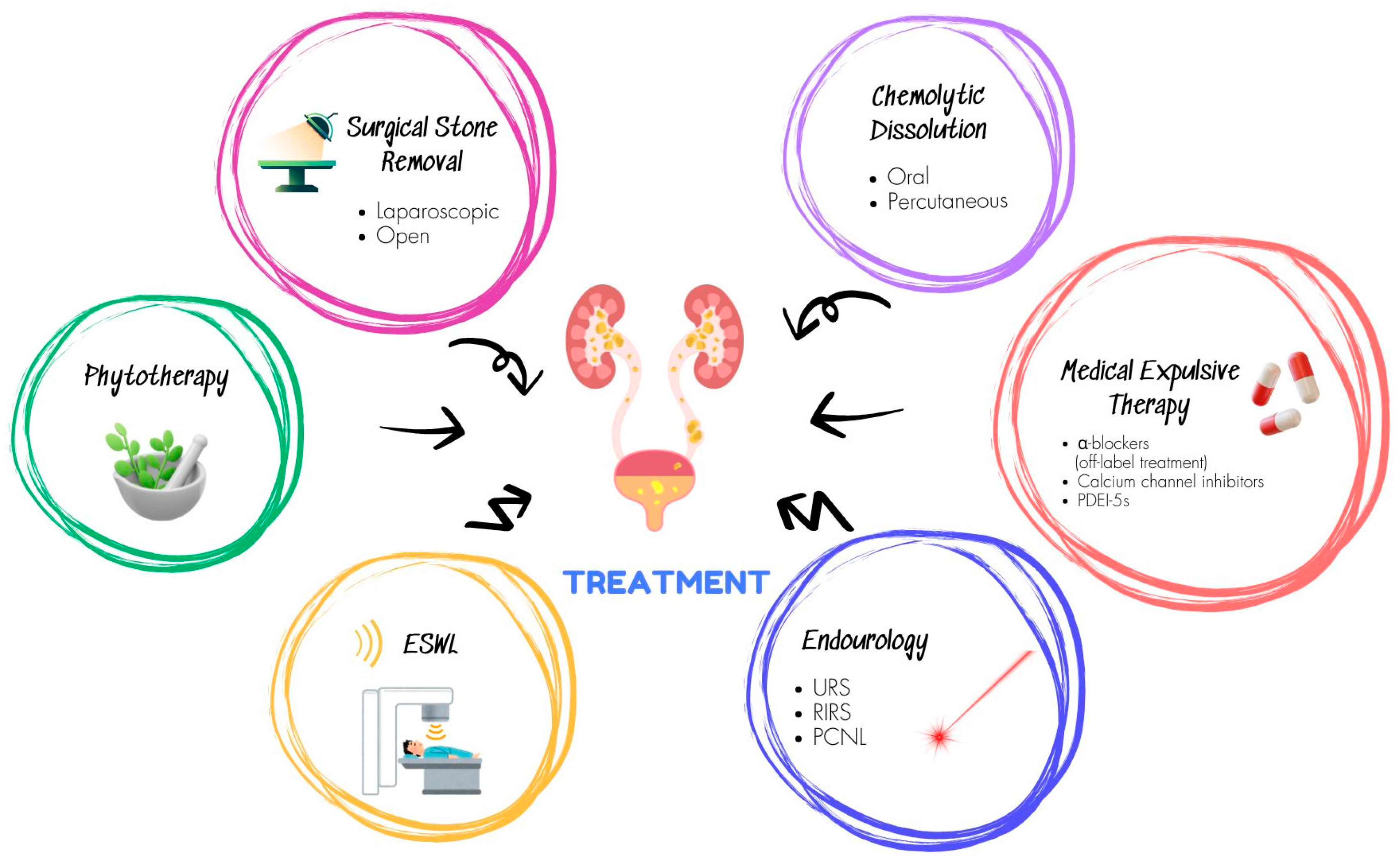 Preprints 150847 g002