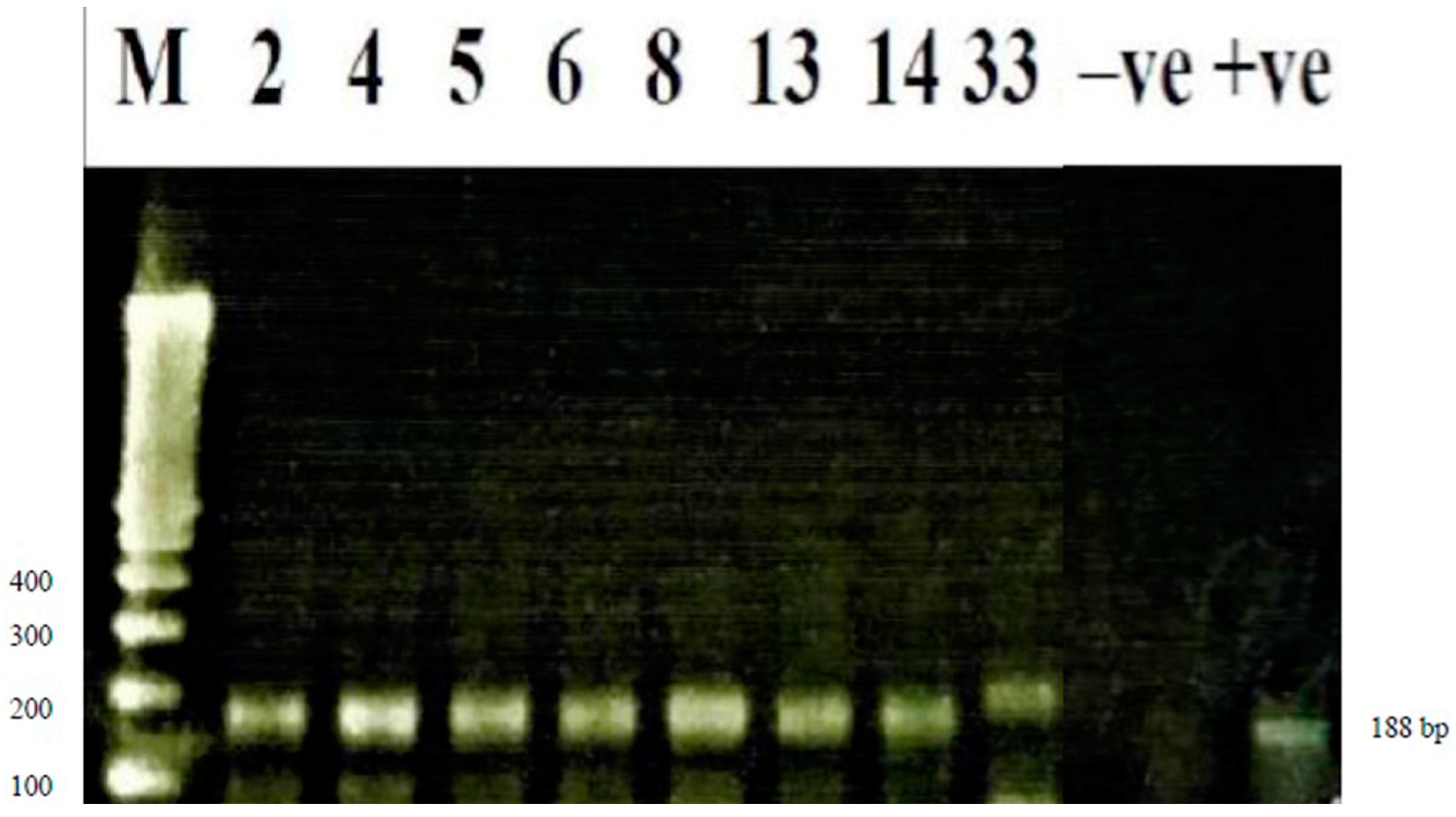 Preprints 147502 g002
