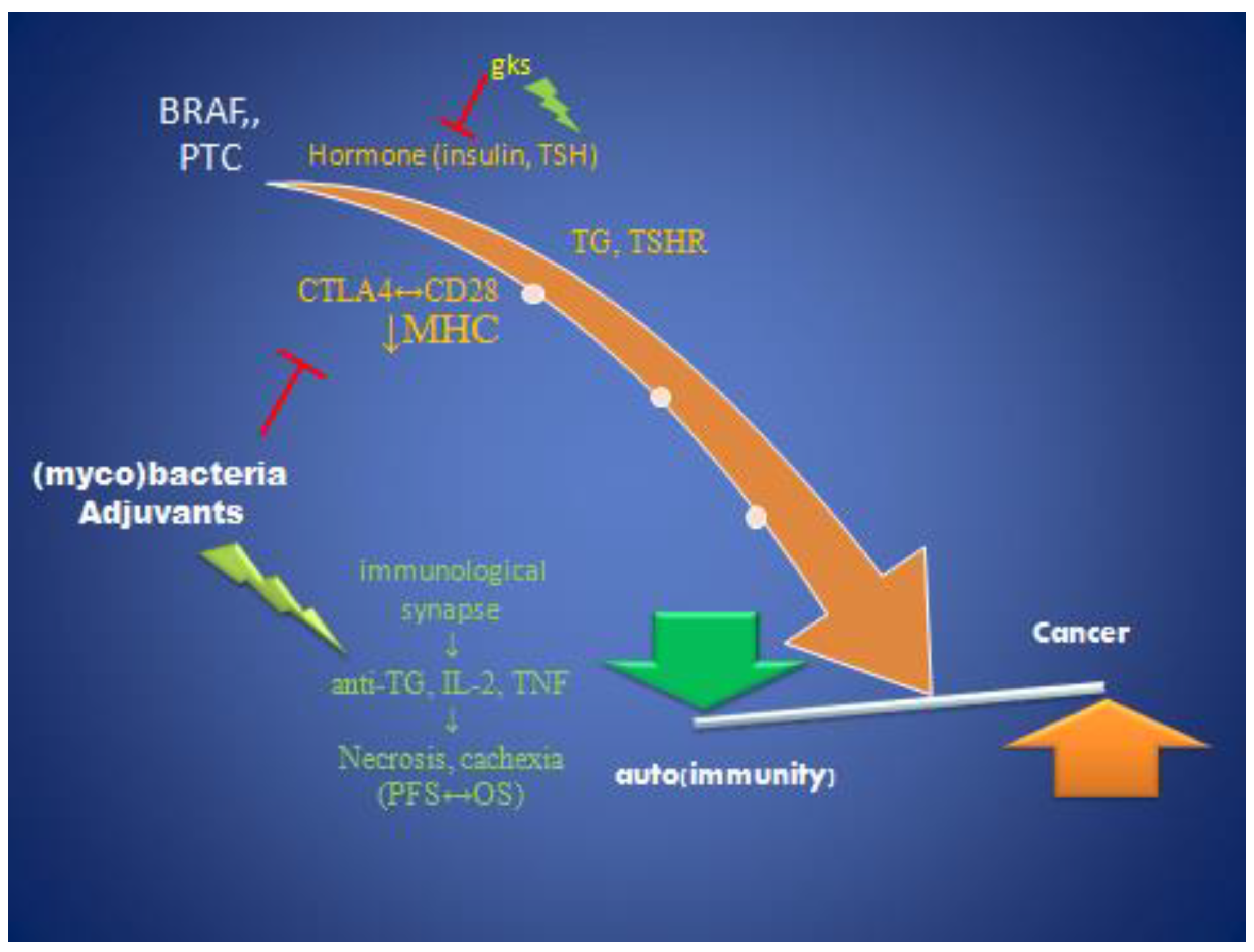 Preprints 121144 g002