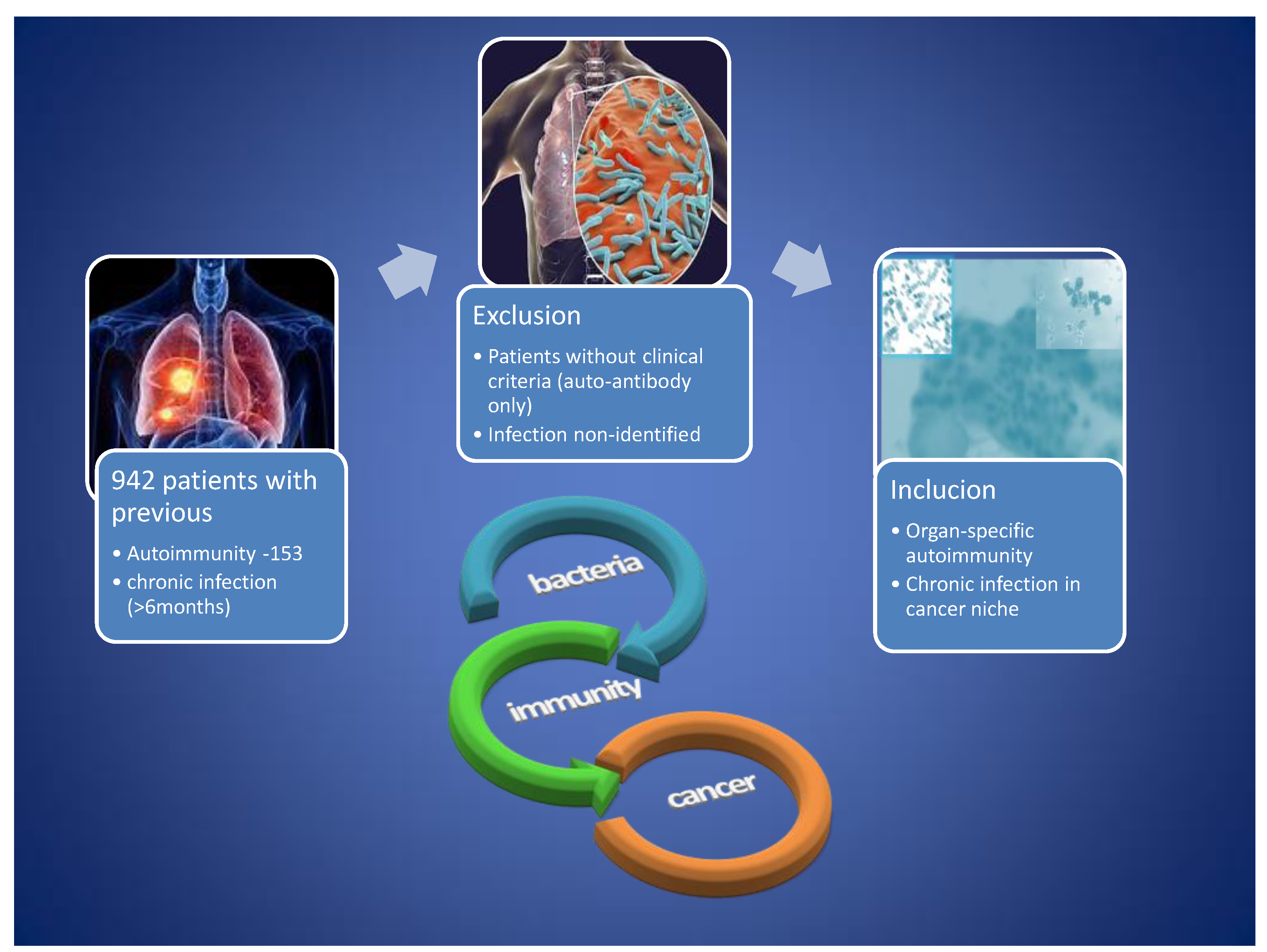 Preprints 121144 g003