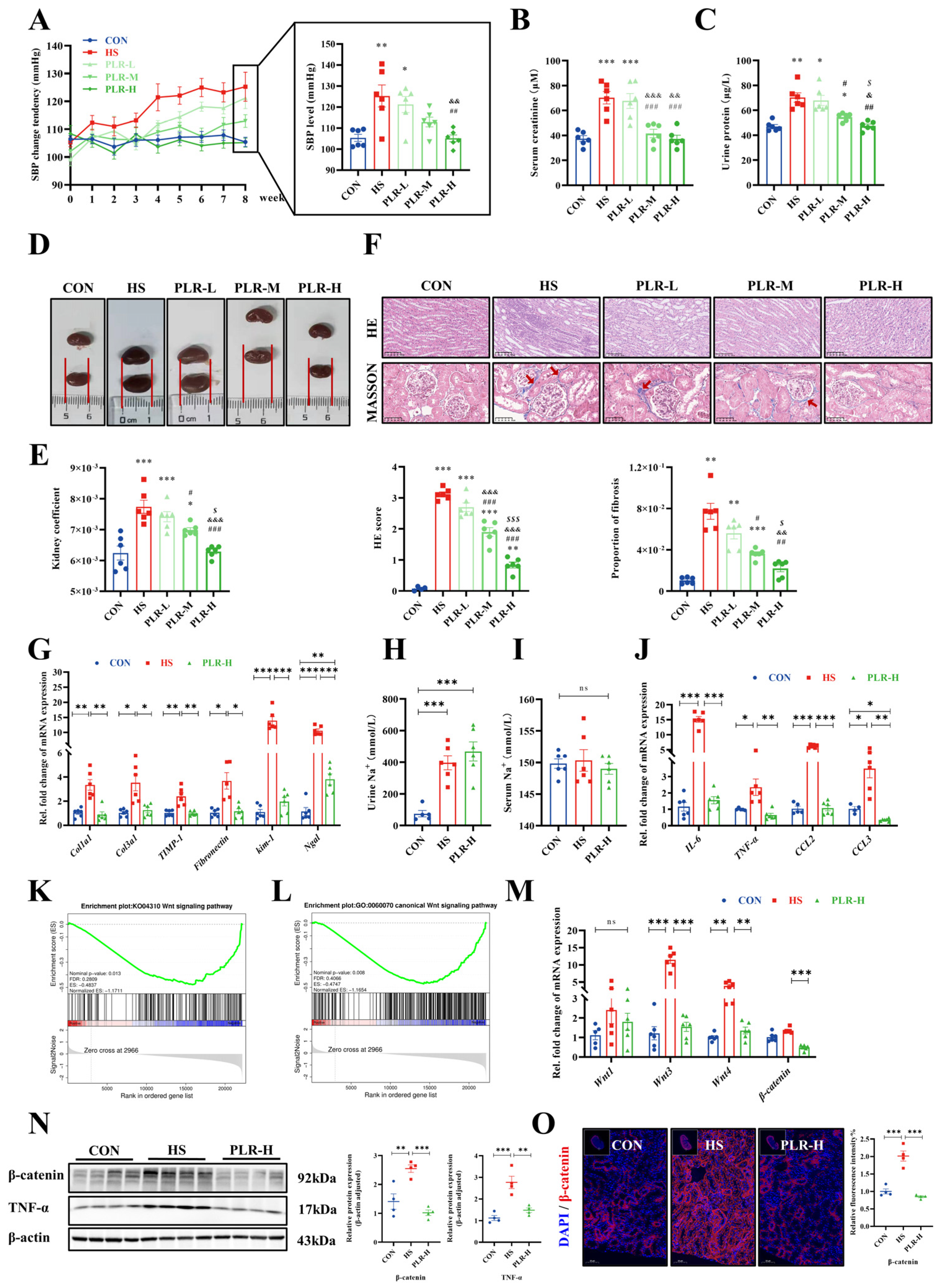 Preprints 95329 g001