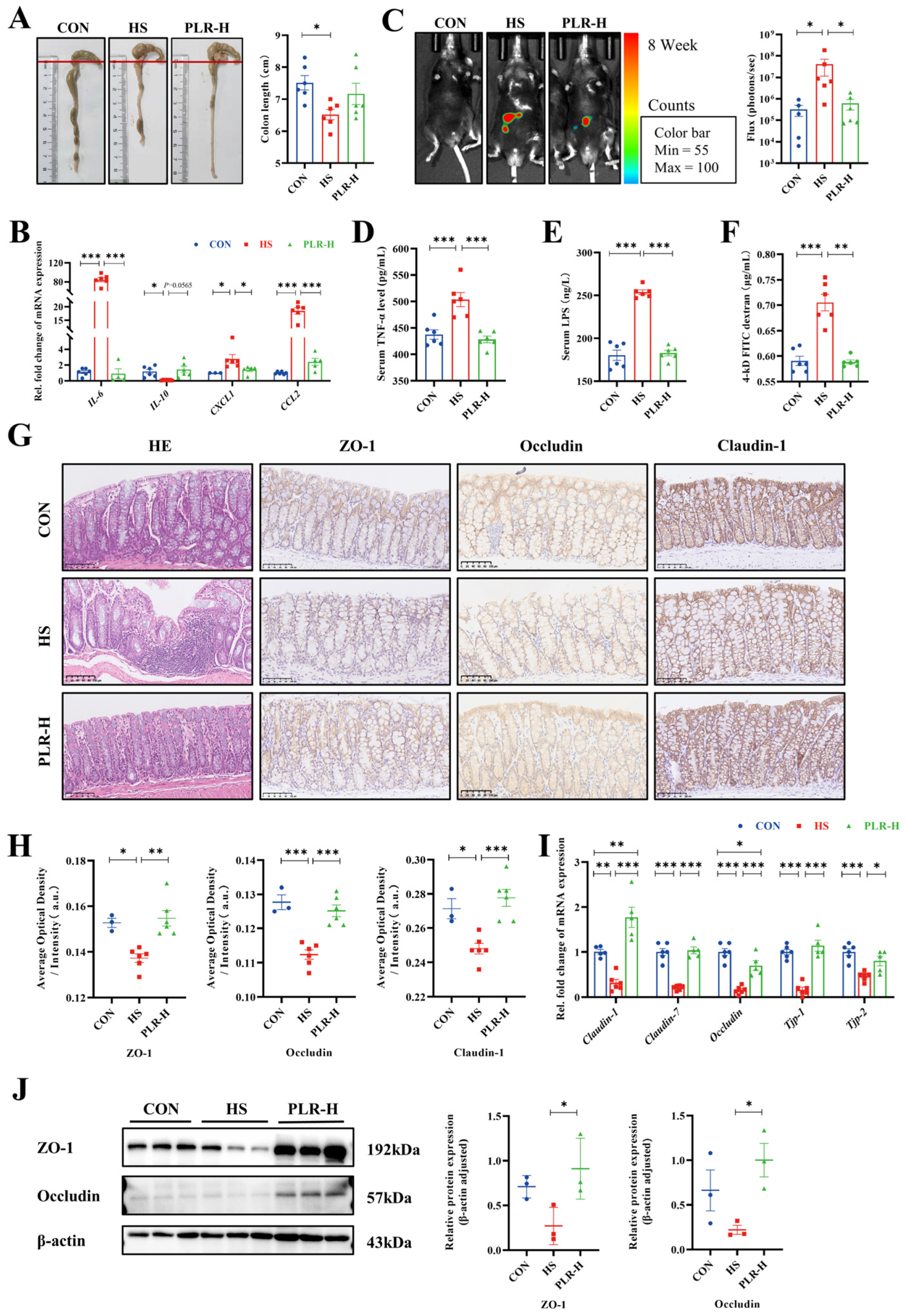 Preprints 95329 g002