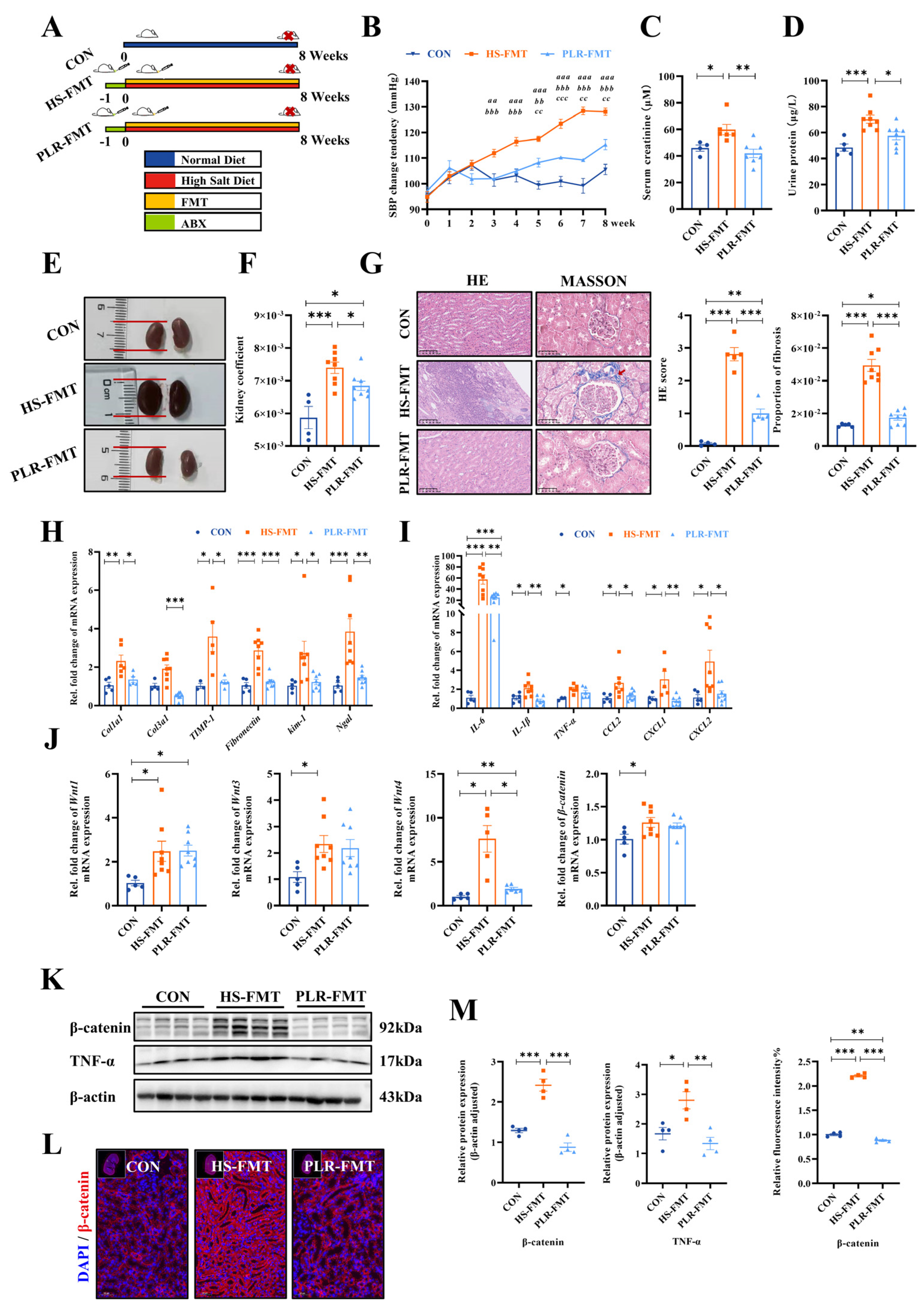 Preprints 95329 g004