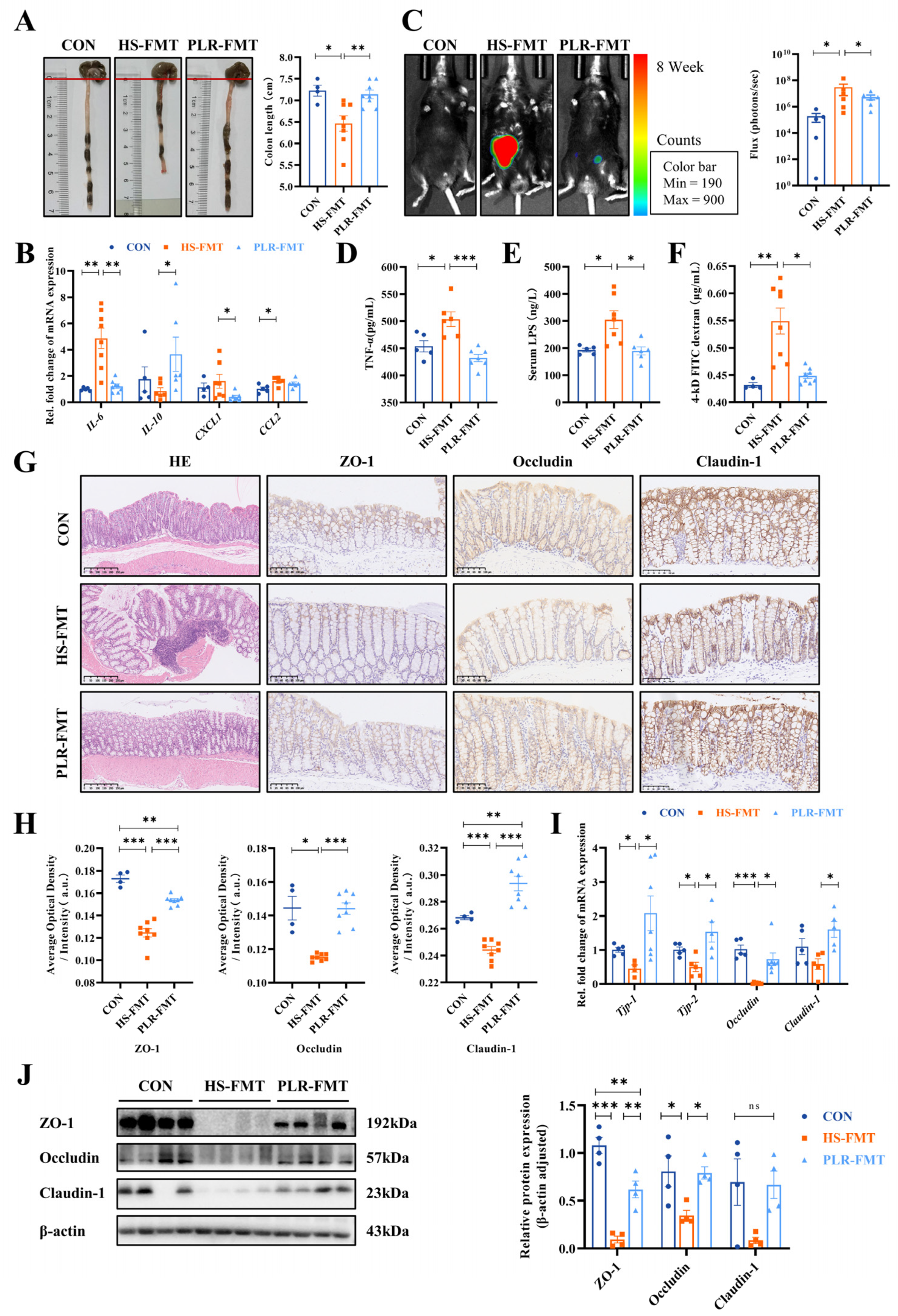 Preprints 95329 g005