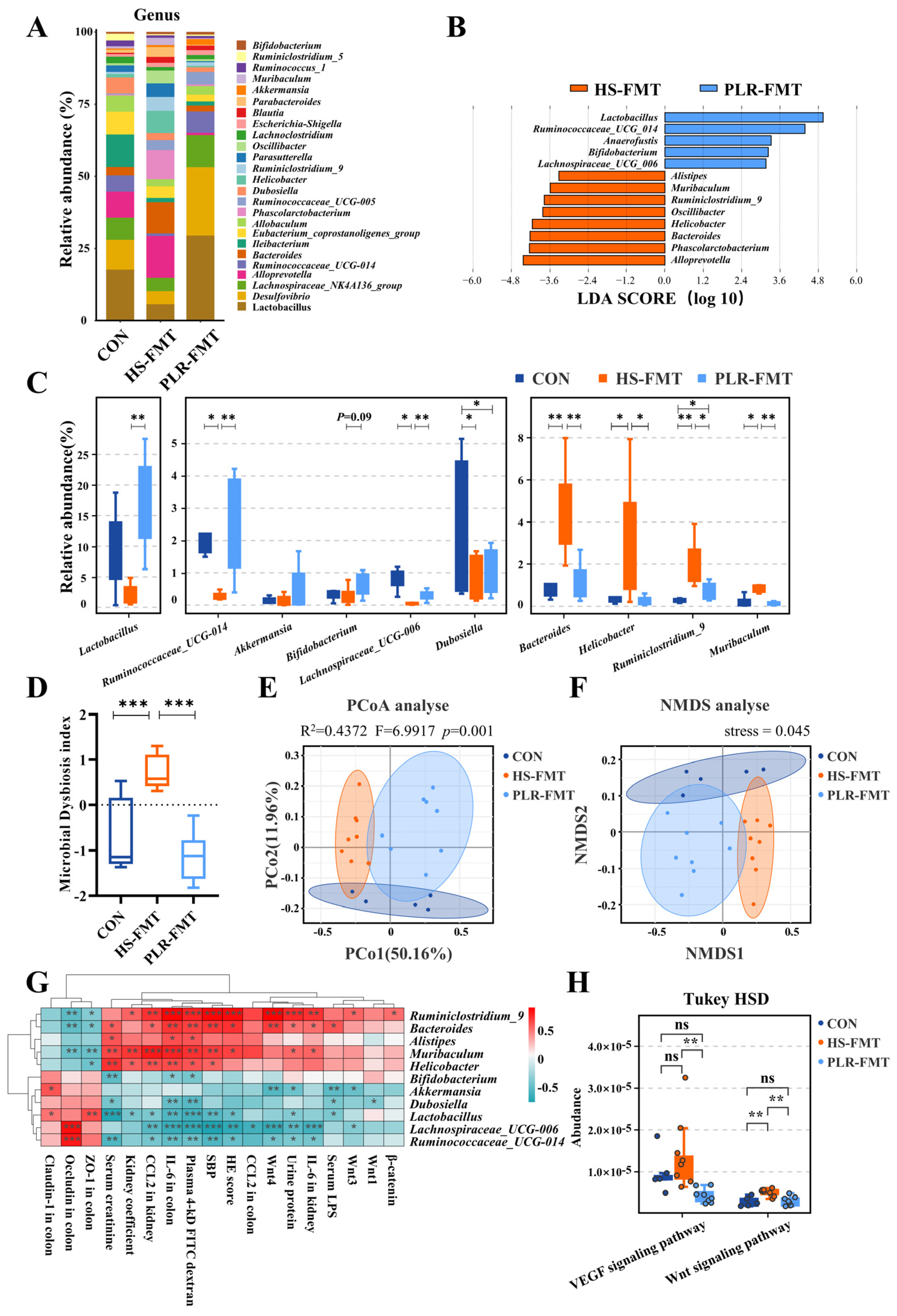 Preprints 95329 g006