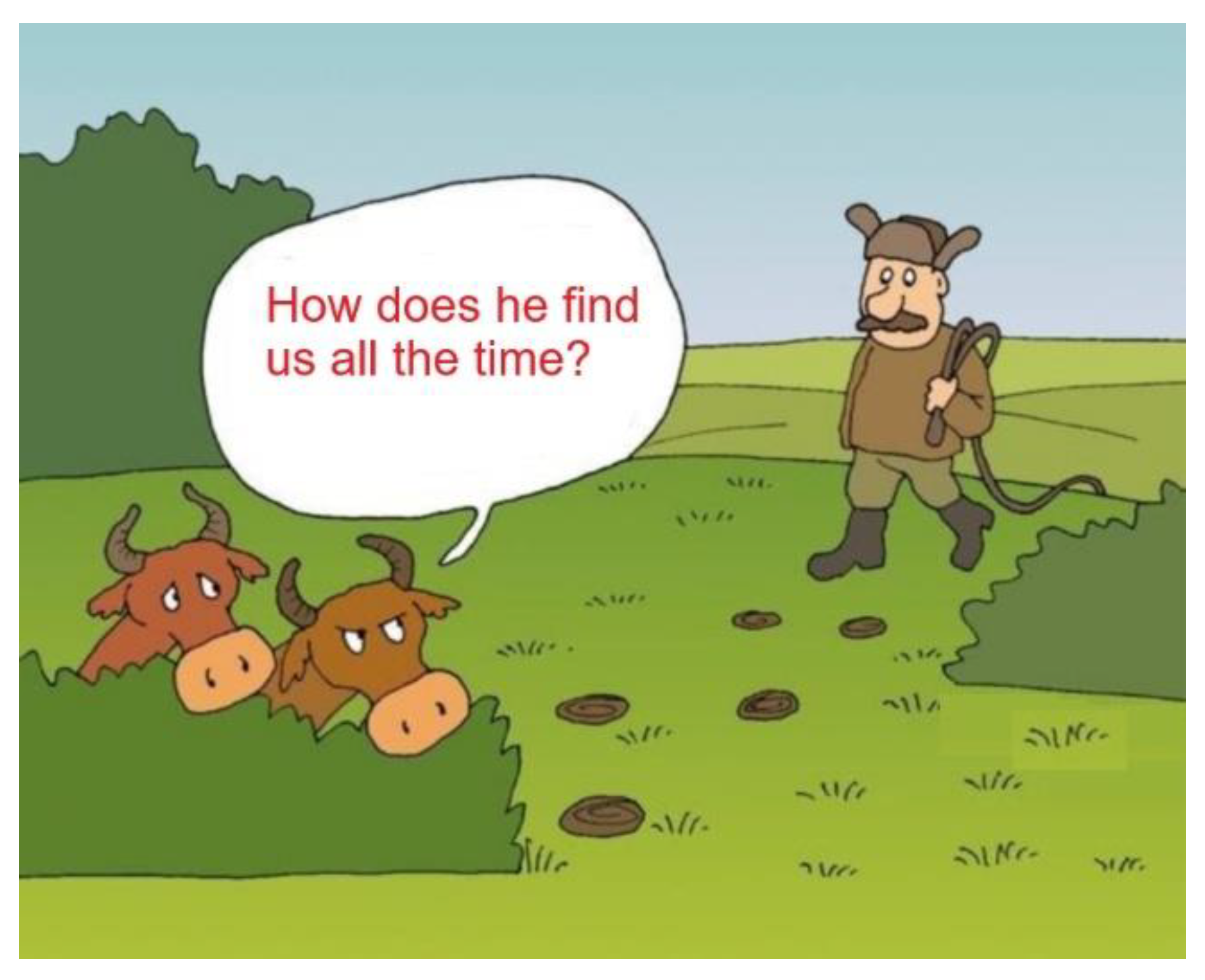 Preprints 149649 g012