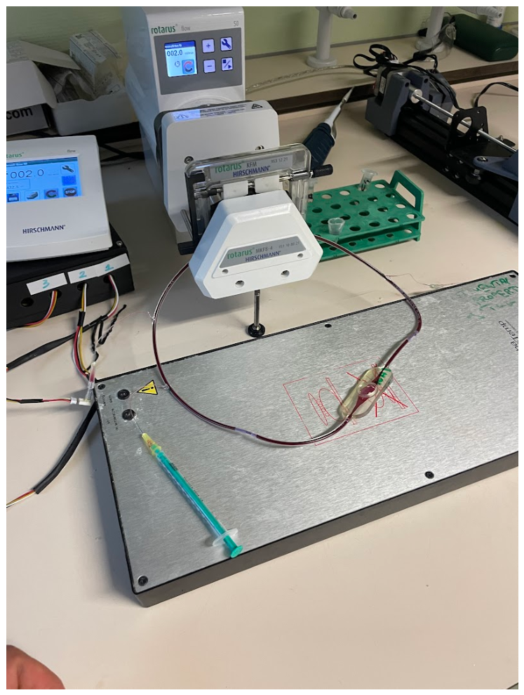 Preprints 230898 g010 Preprints 230898 g010