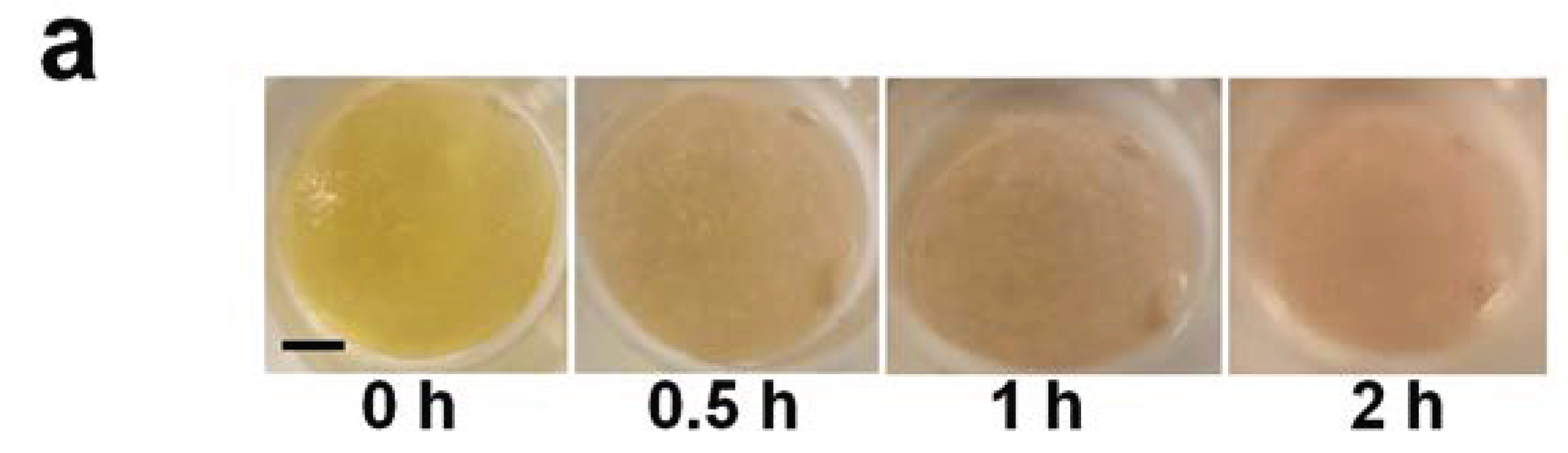 Preprints 98359 g002a