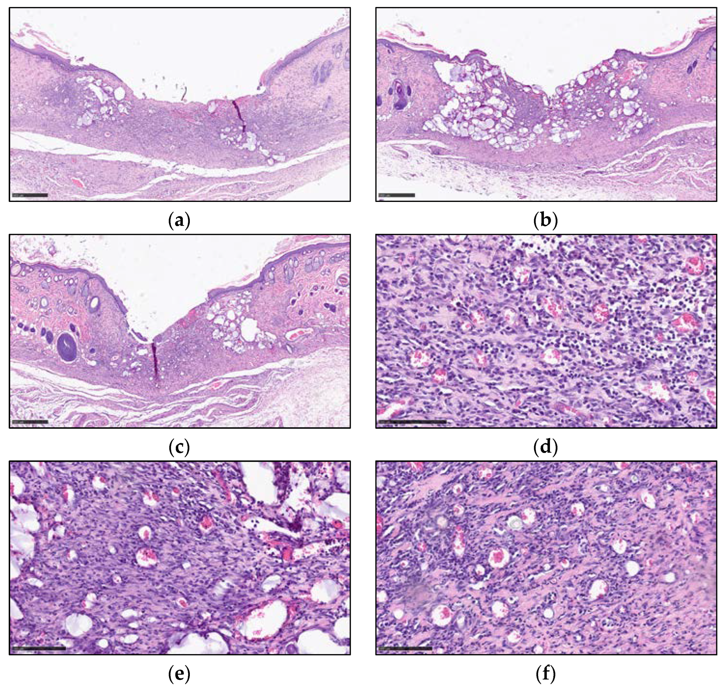 Preprints 98359 g004