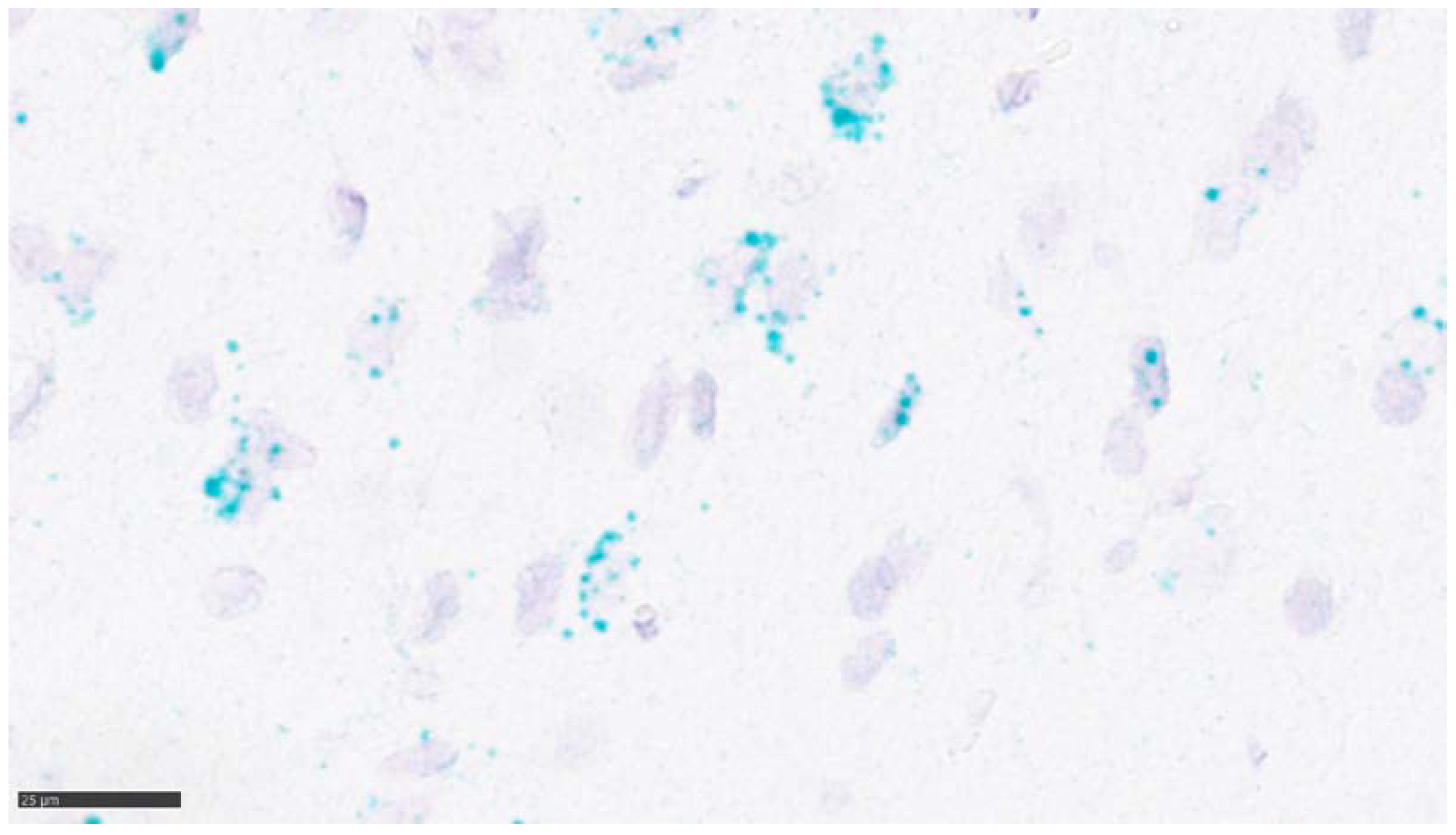 Preprints 98359 g006