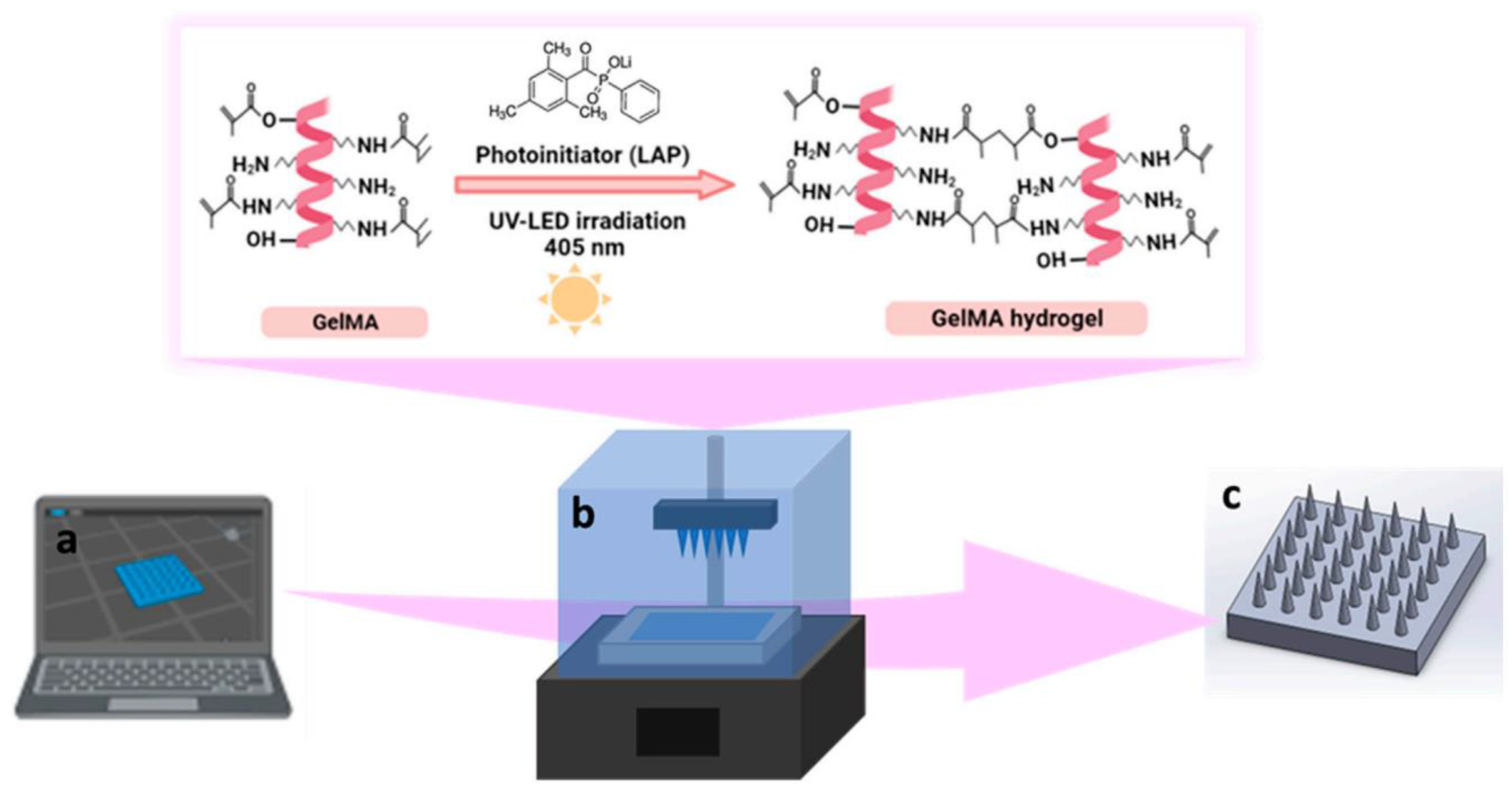 Preprints 121653 g002