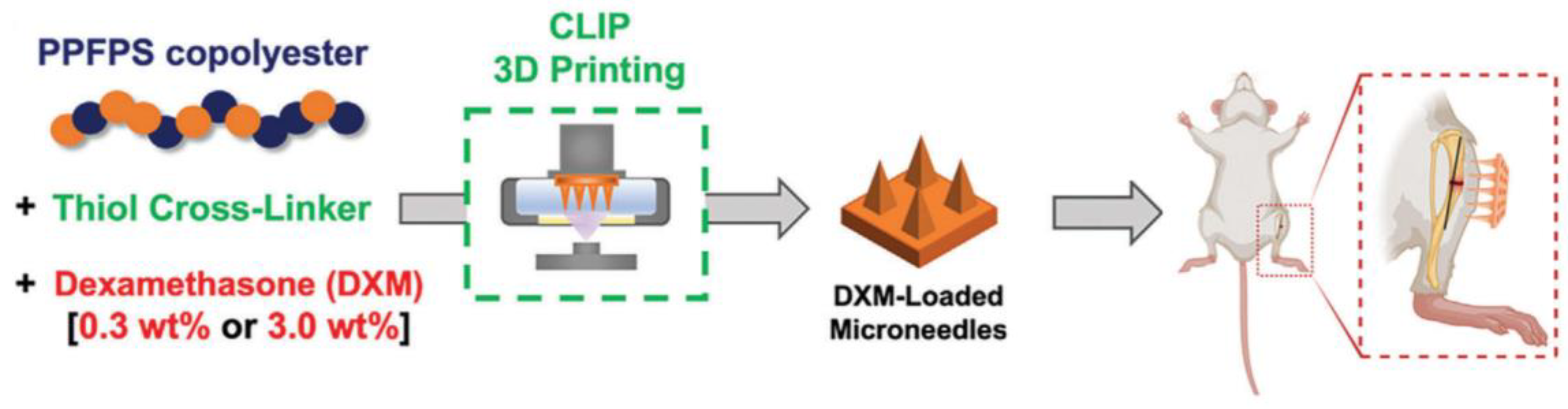 Preprints 121653 g003