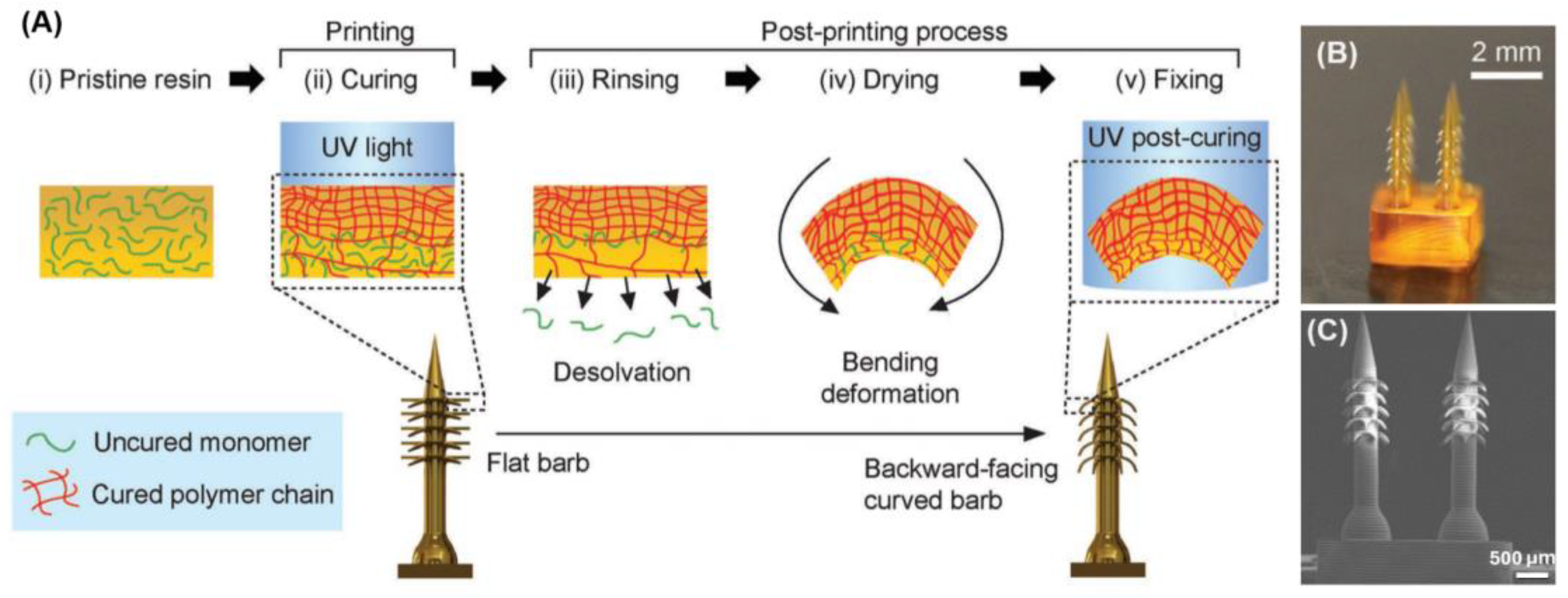 Preprints 121653 g004
