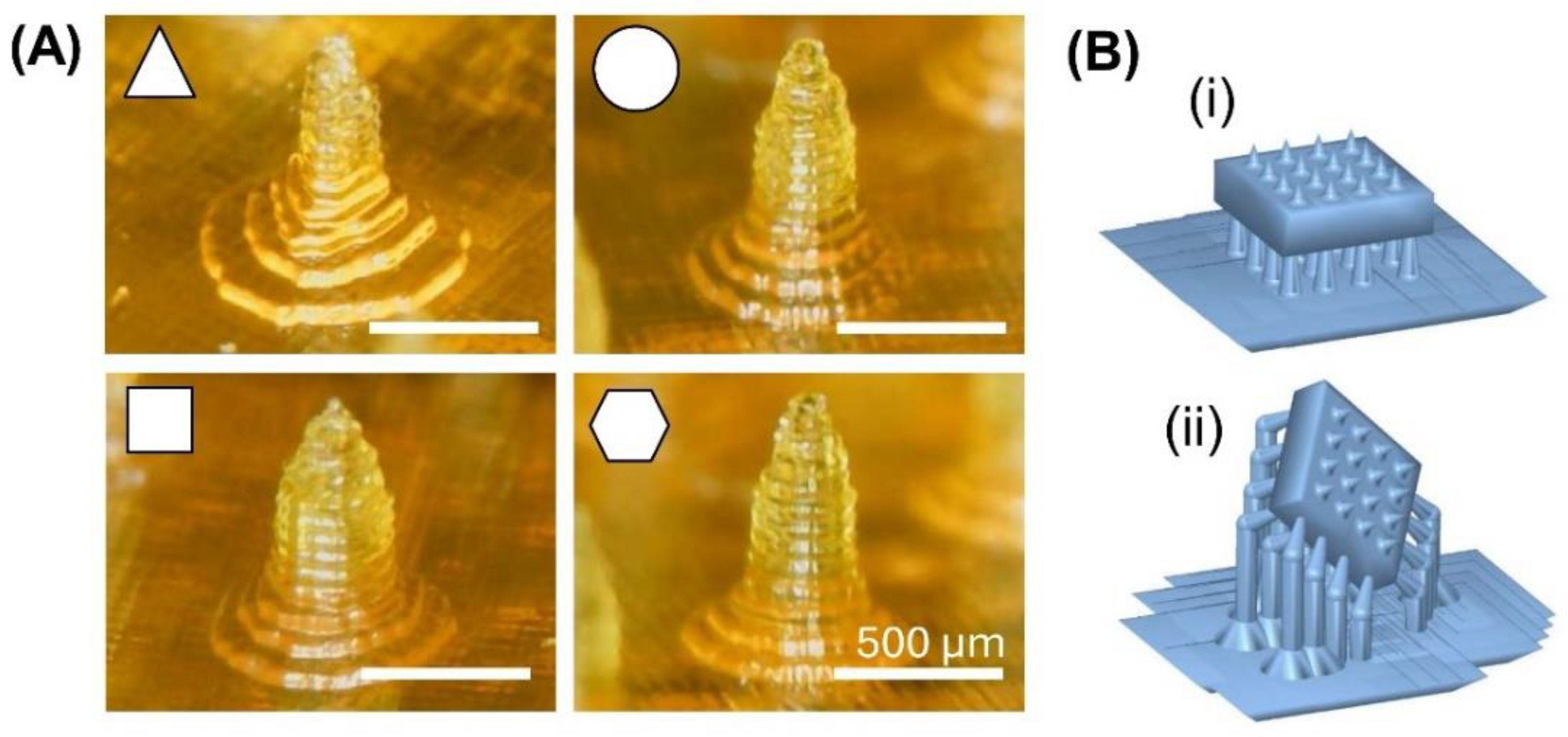 Preprints 121653 g005