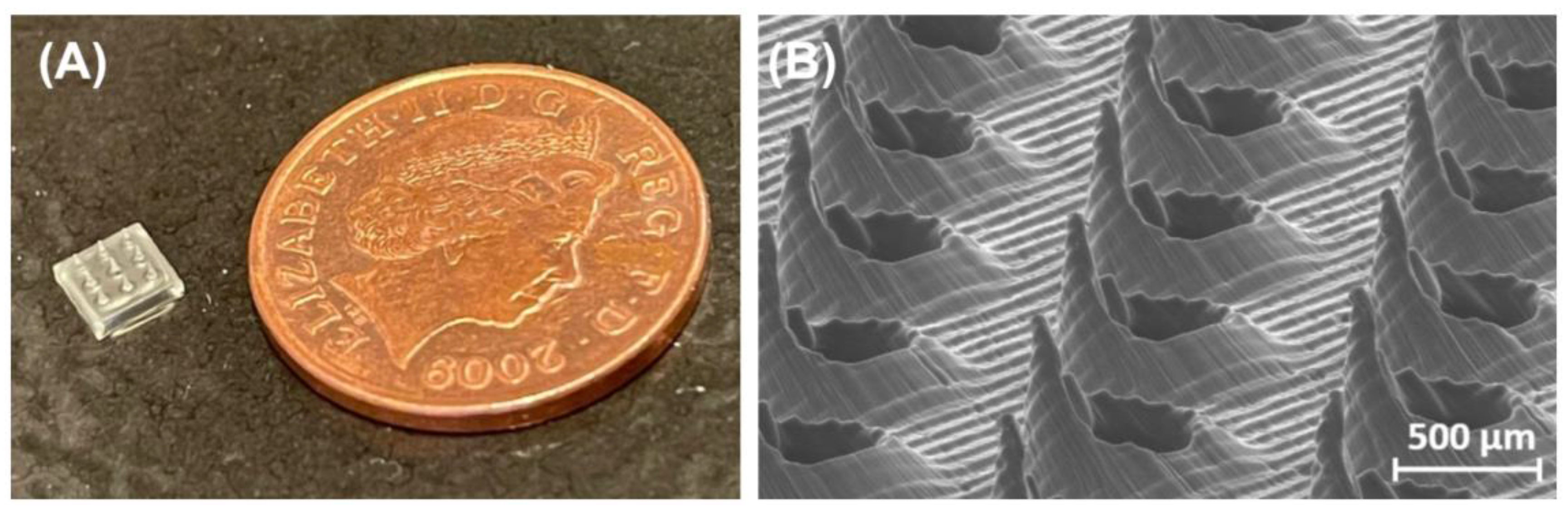 Preprints 121653 g006