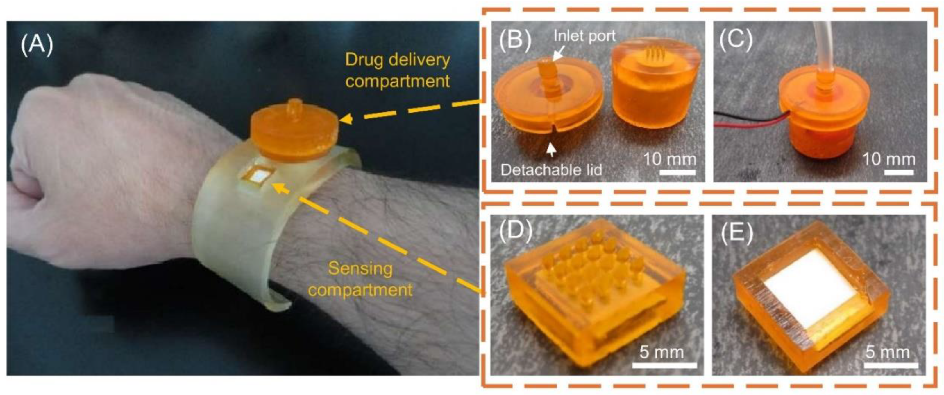 Preprints 121653 g007