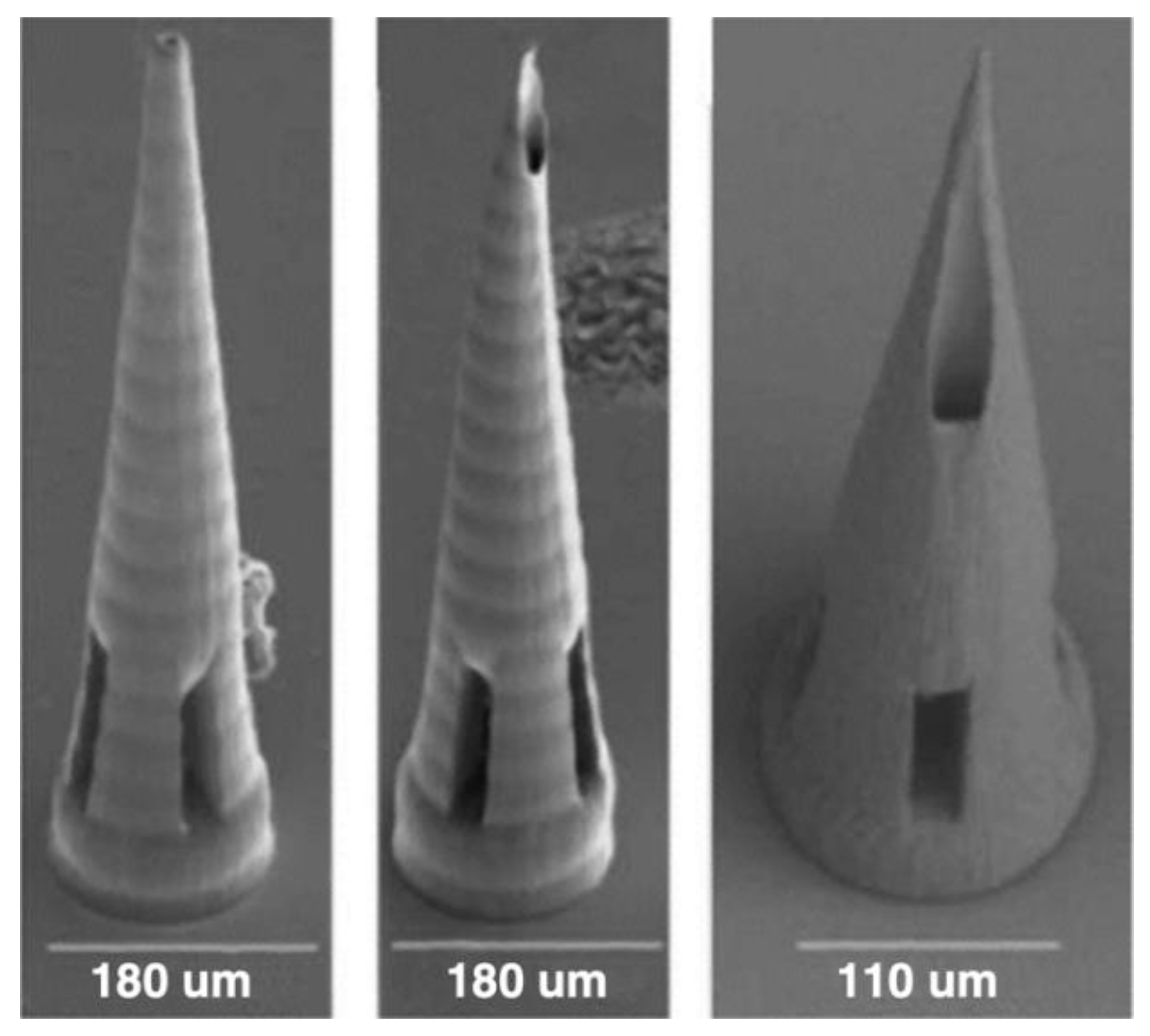 Preprints 121653 g008