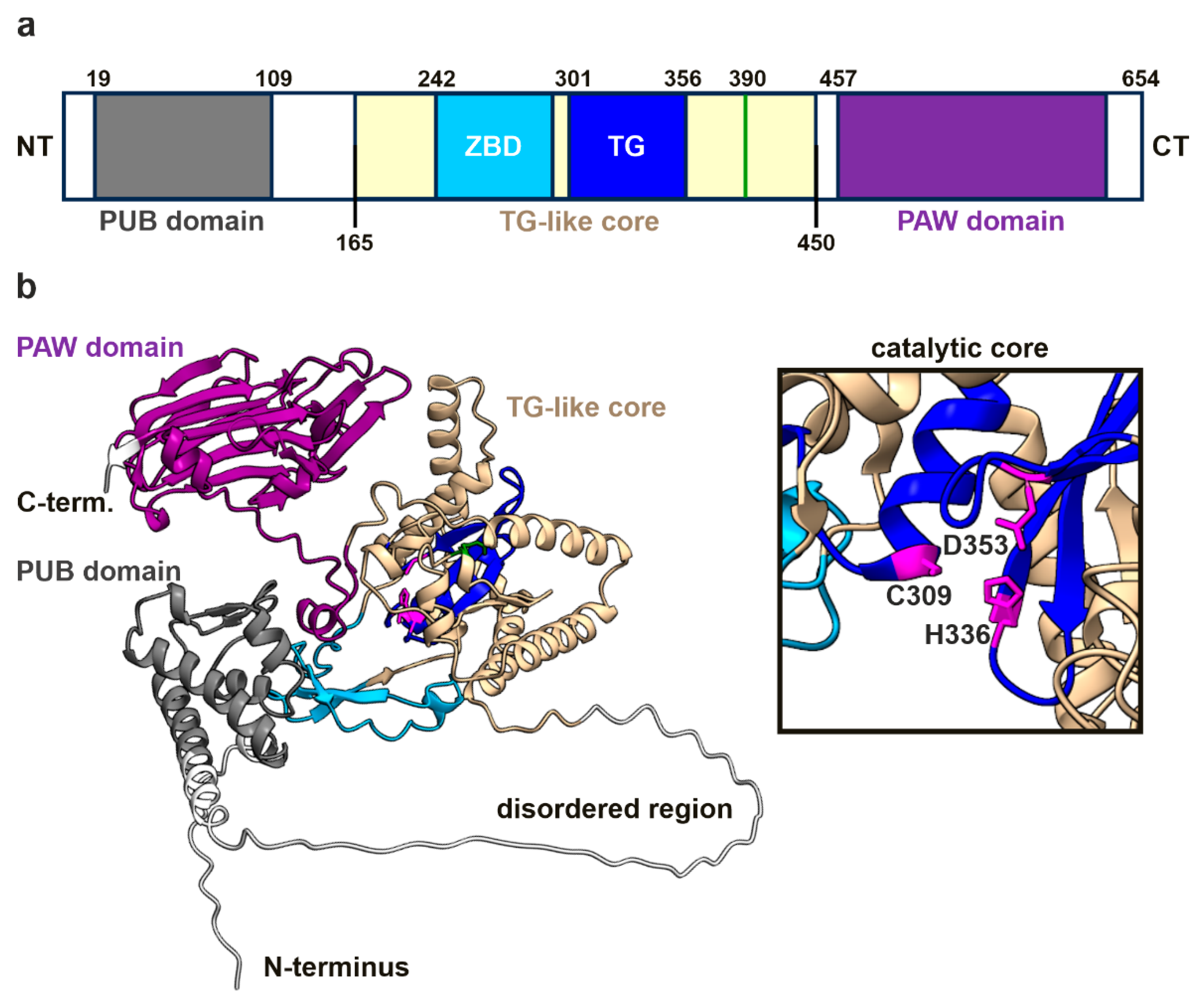 Preprints 163007 g001