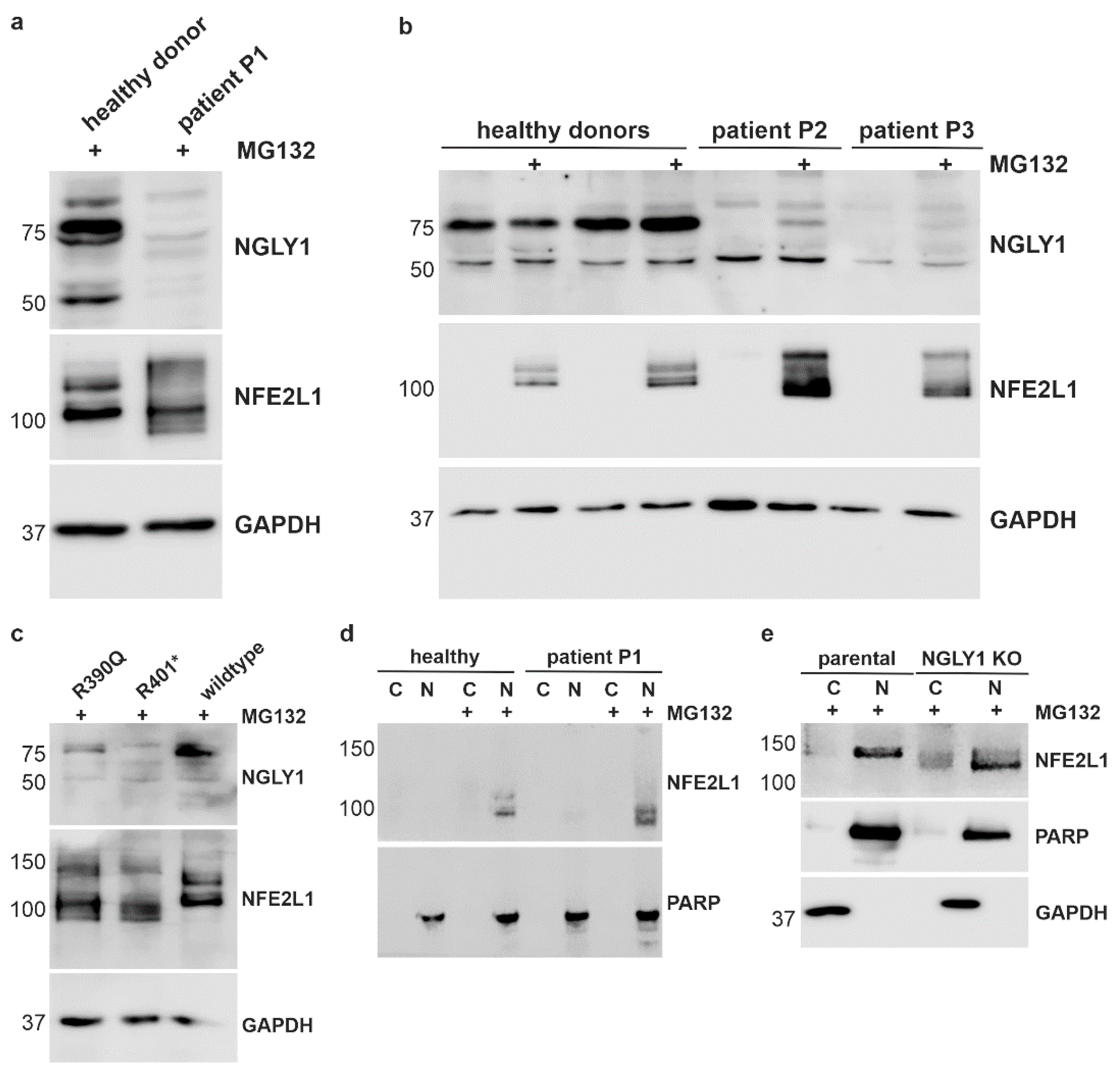 Preprints 163007 g004