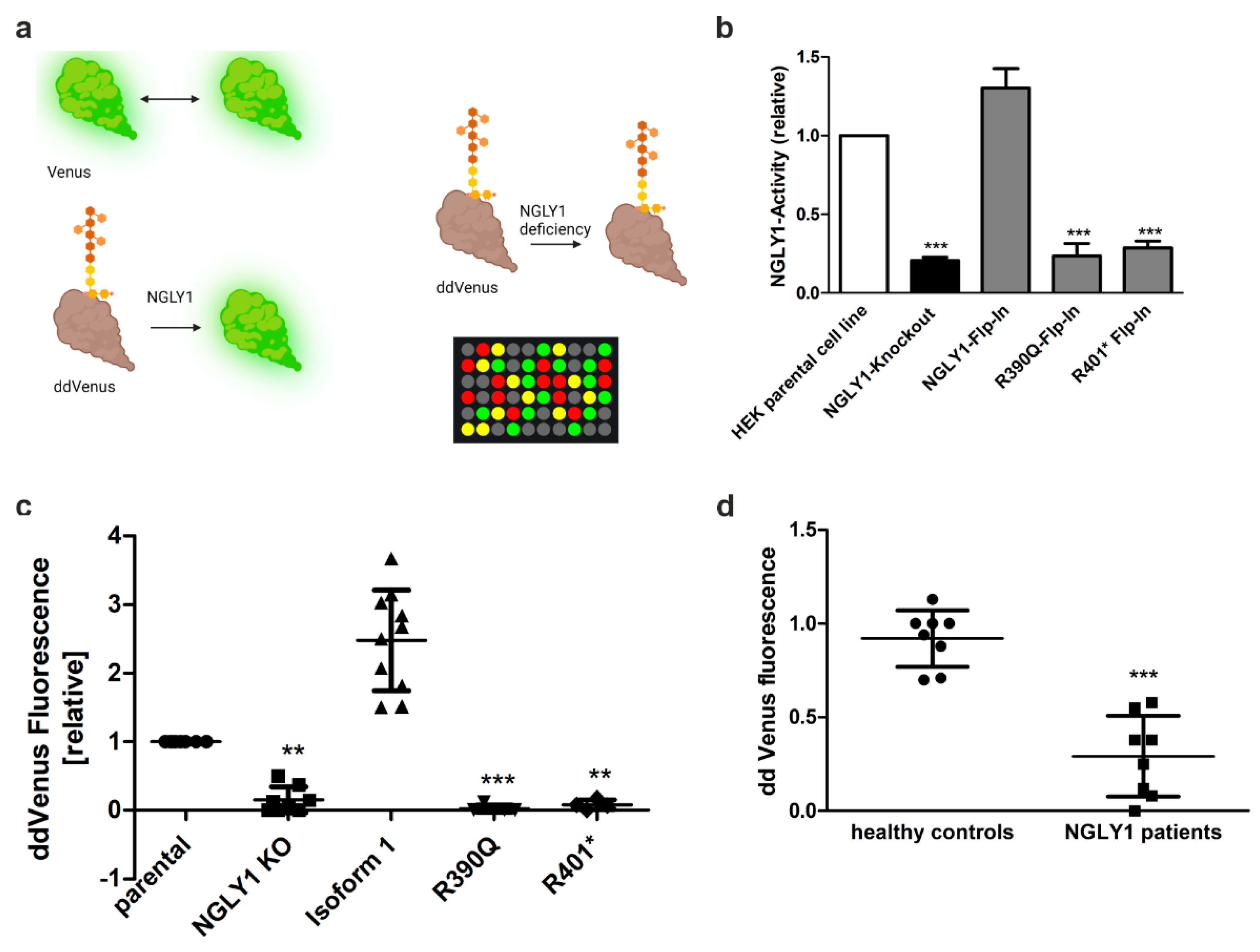 Preprints 163007 g006