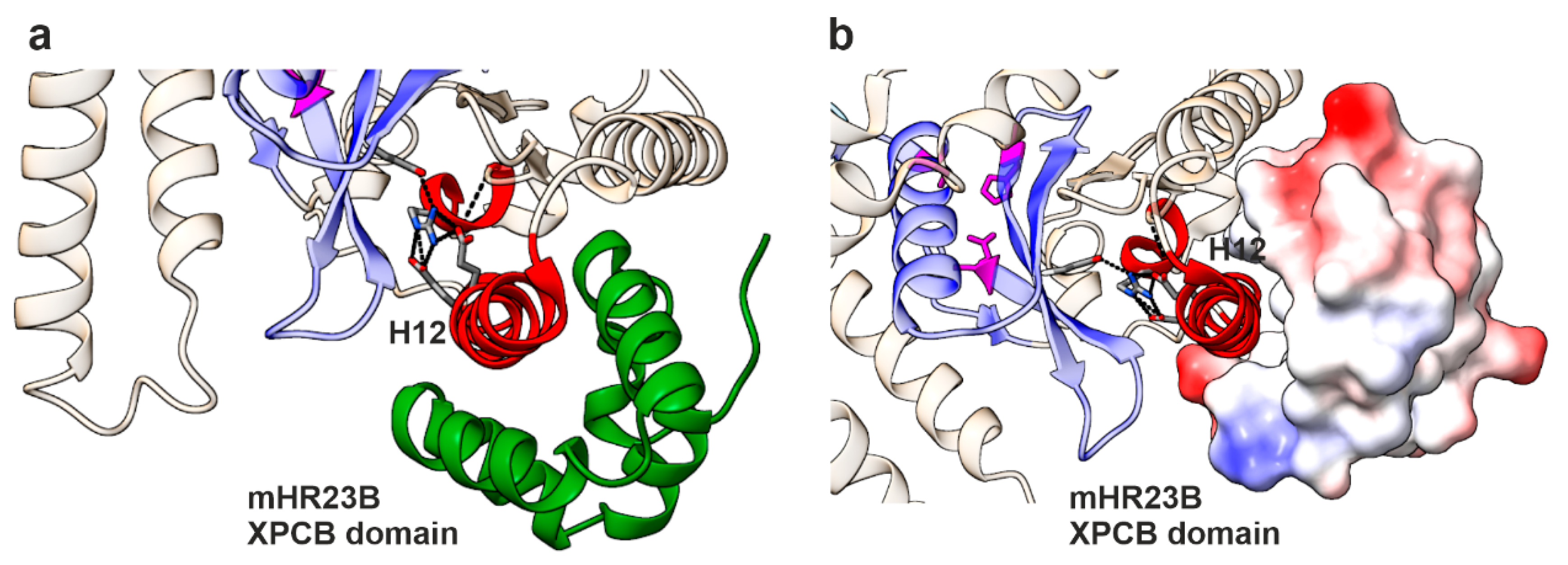 Preprints 163007 g008