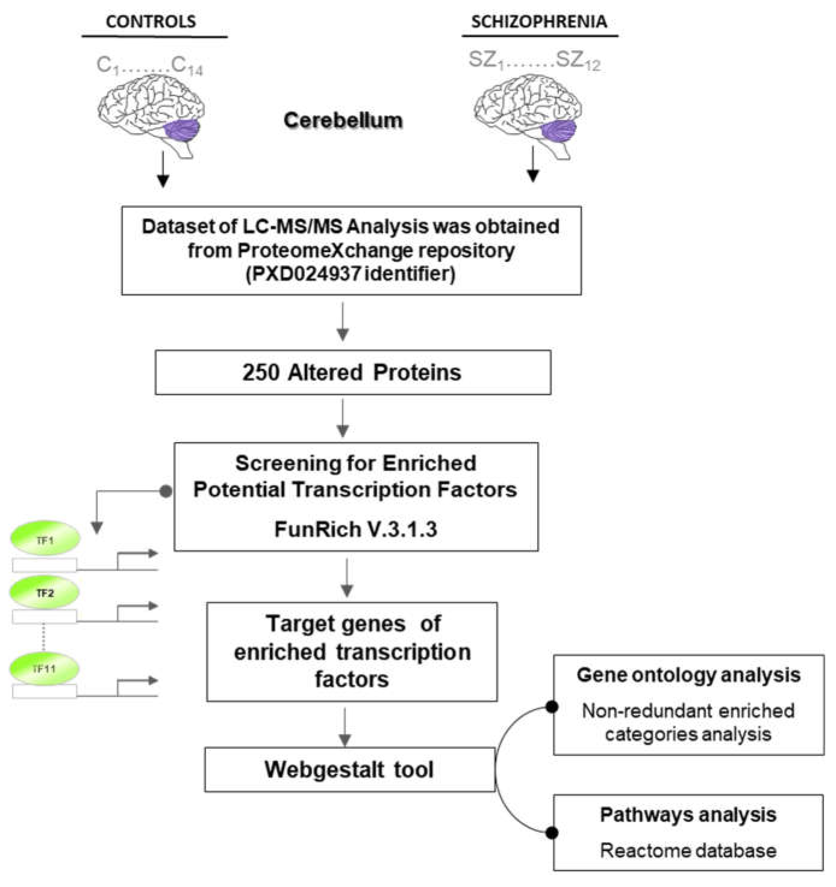 Preprints 150869 g001