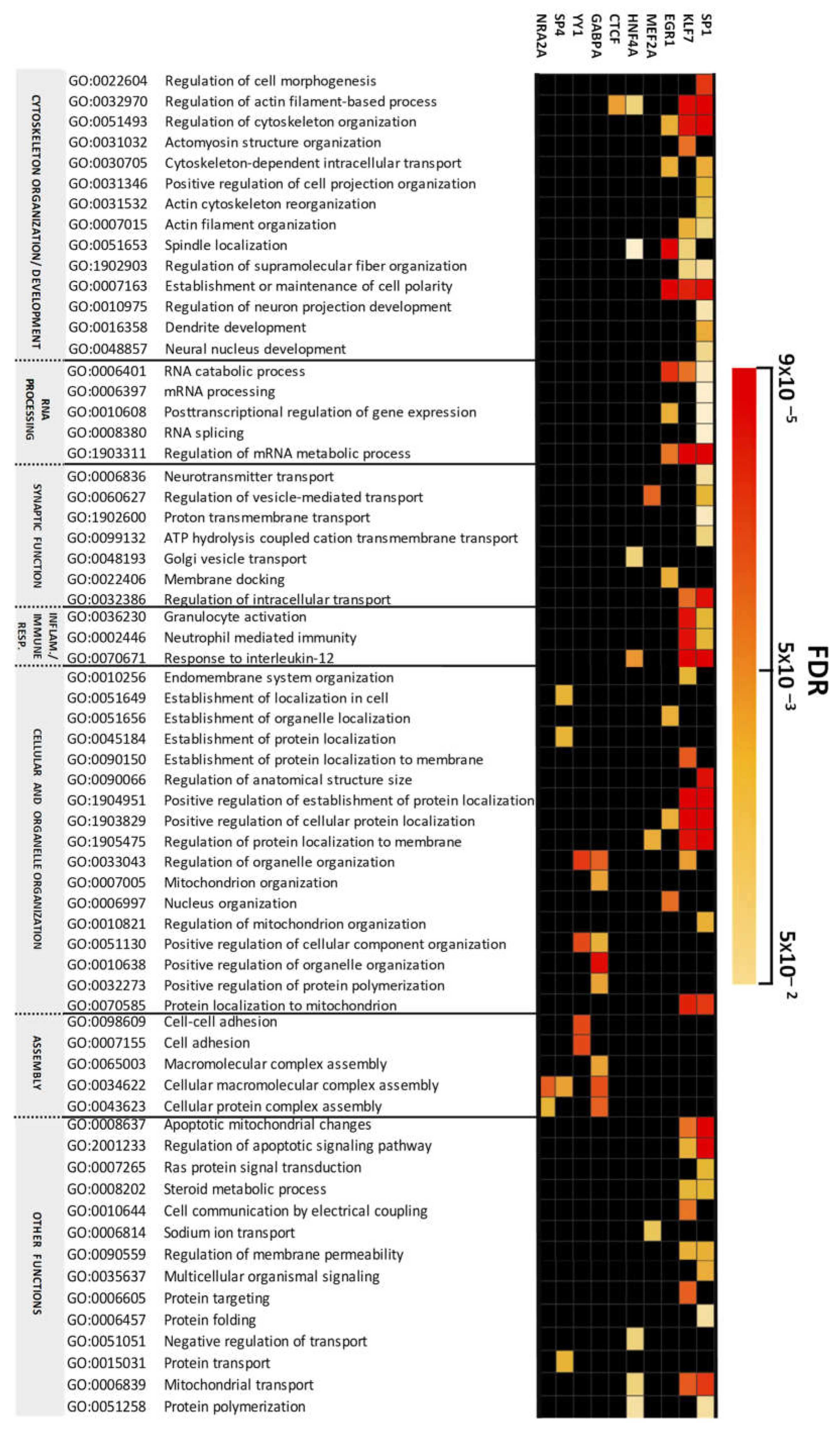 Preprints 150869 g003