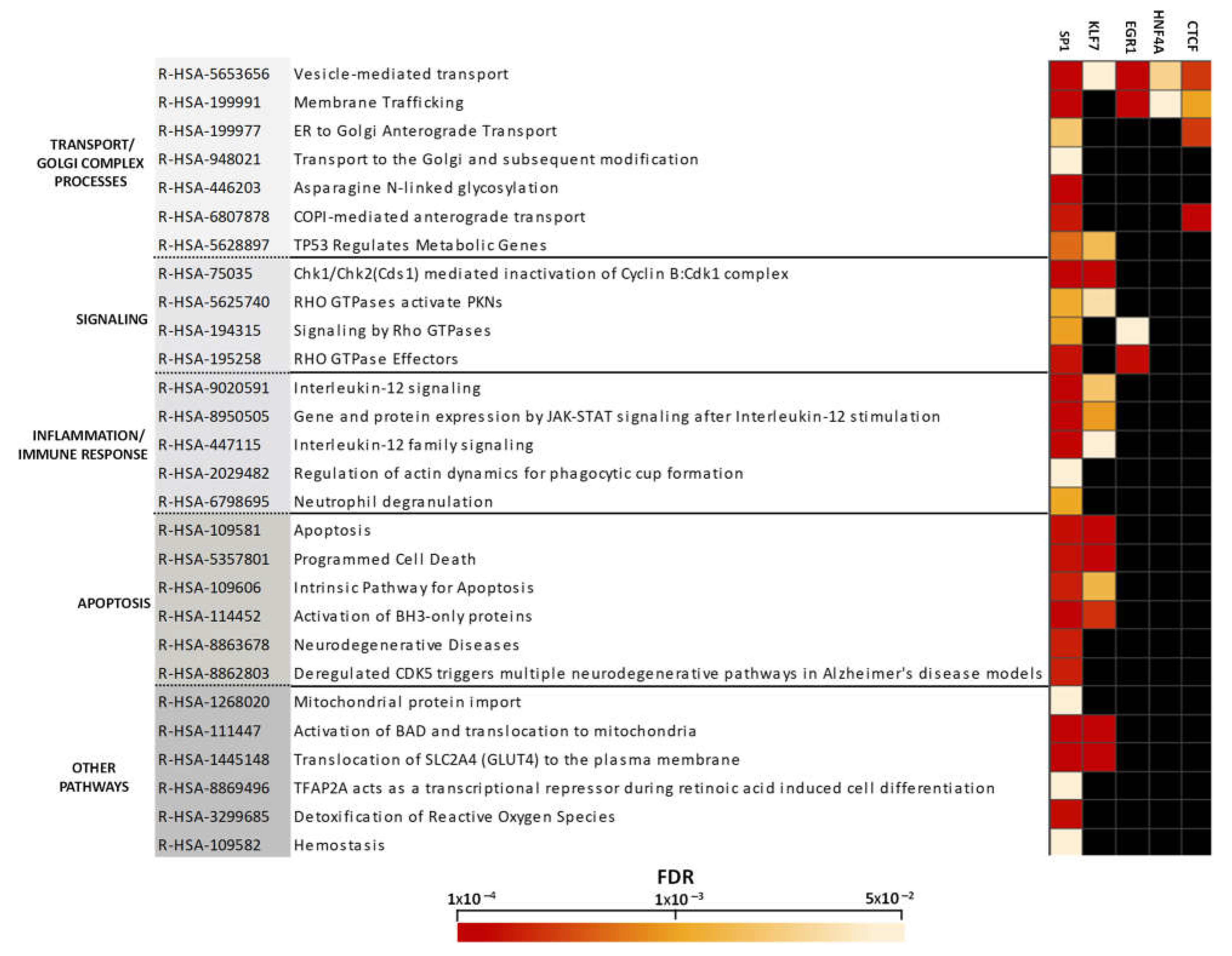 Preprints 150869 g004