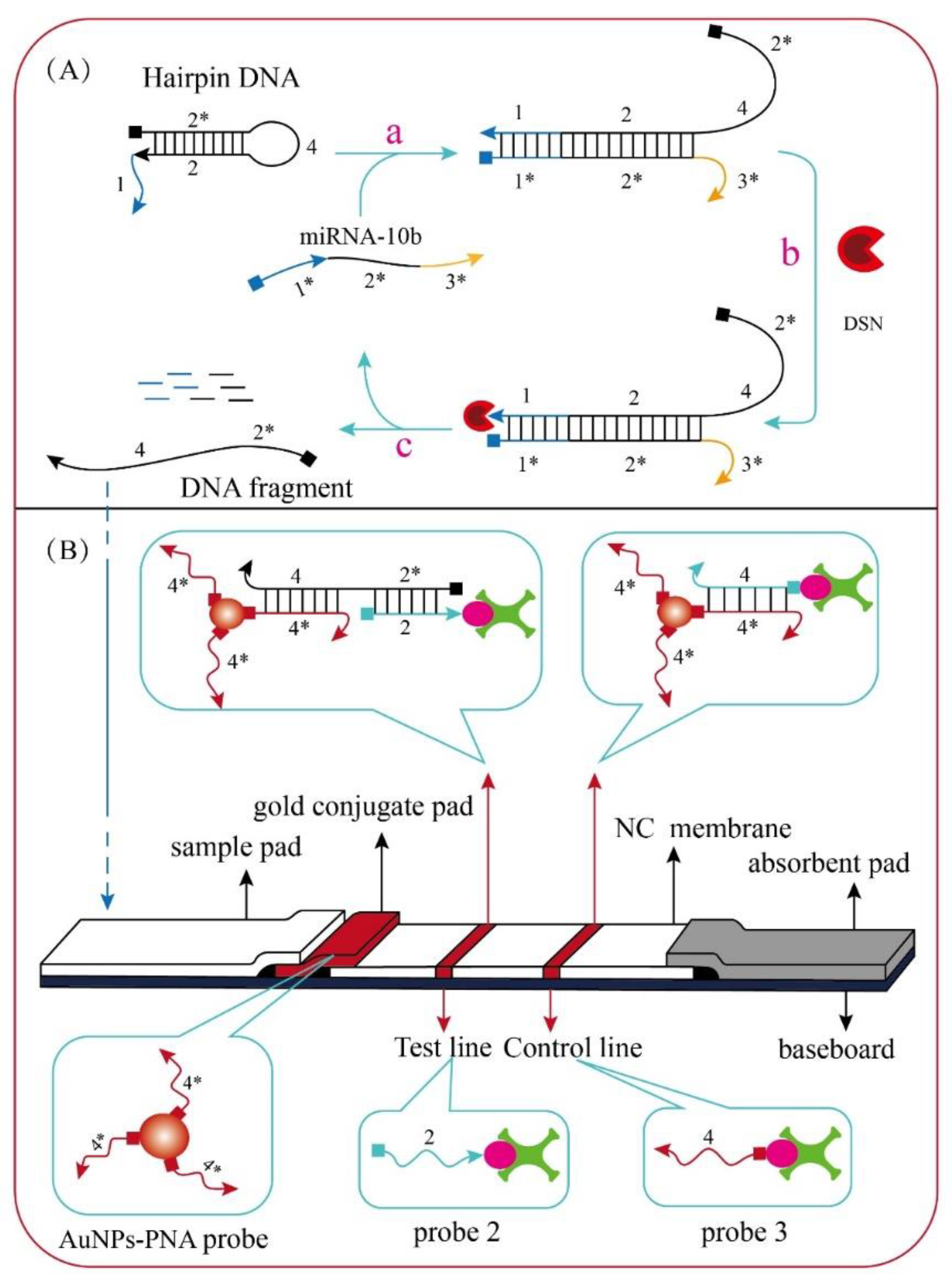 Preprints 71181 g002