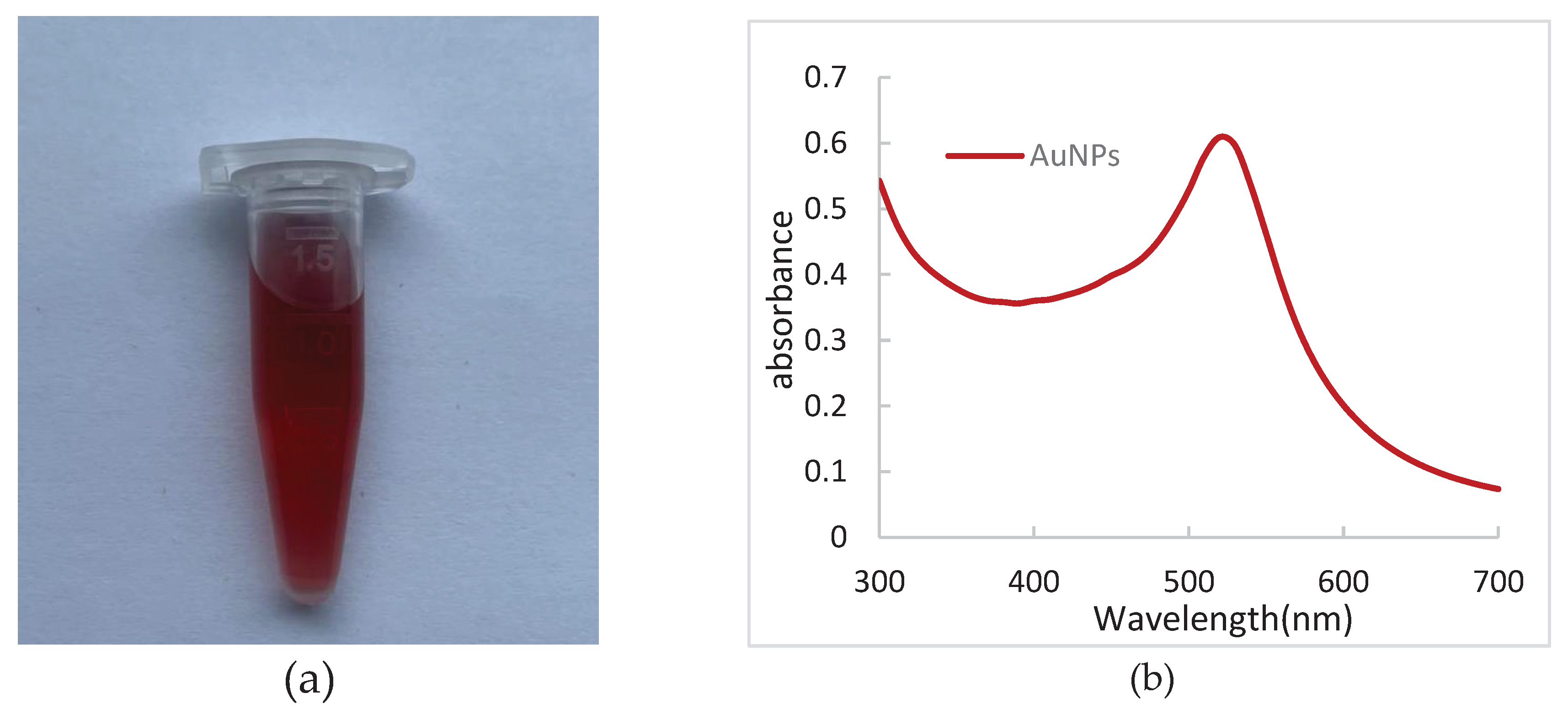 Preprints 71181 g003