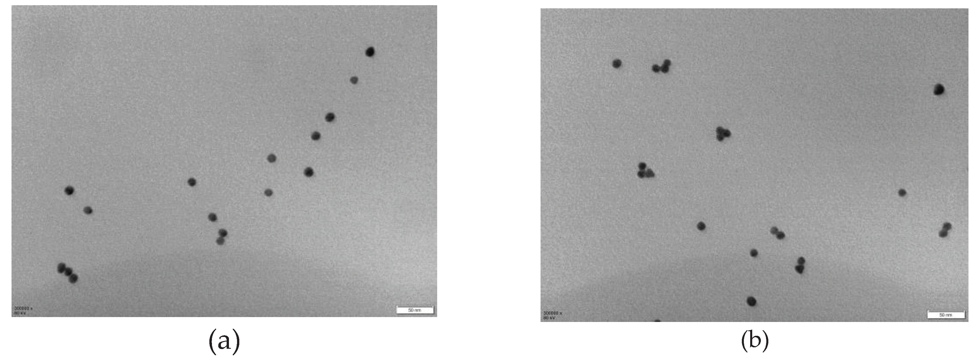 Preprints 71181 g004