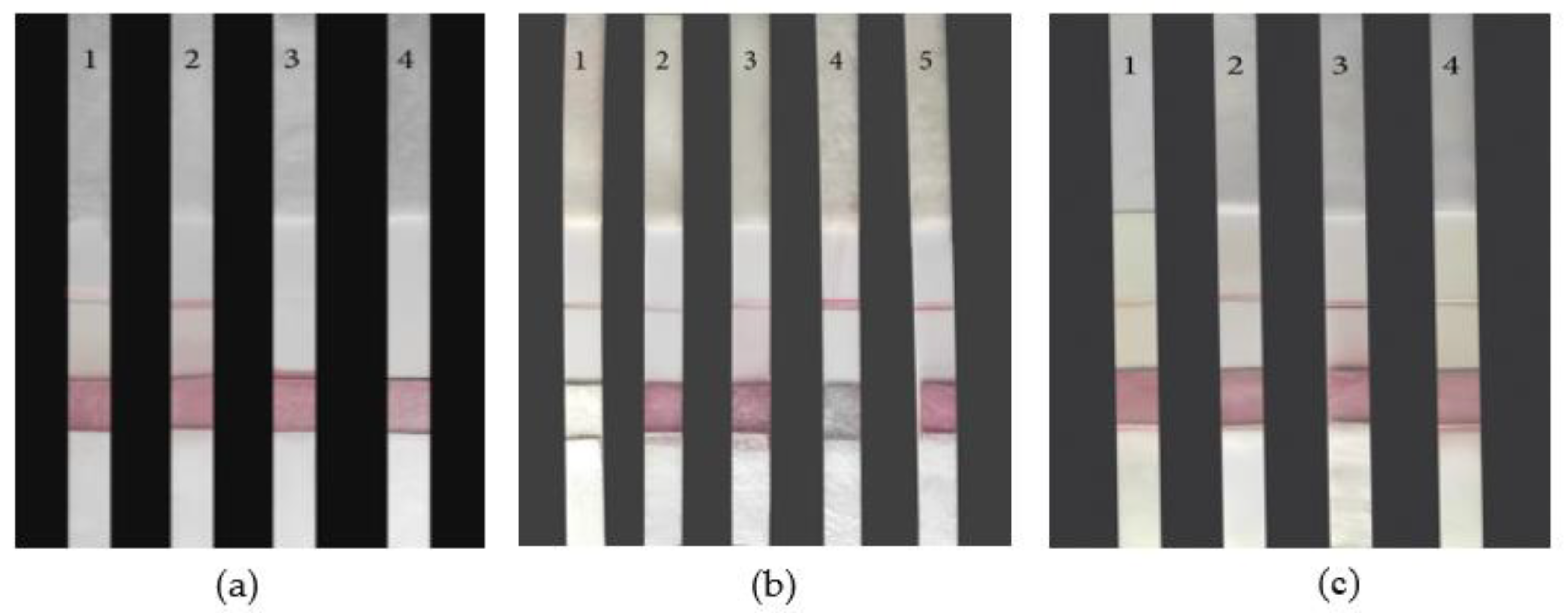 Preprints 71181 g008