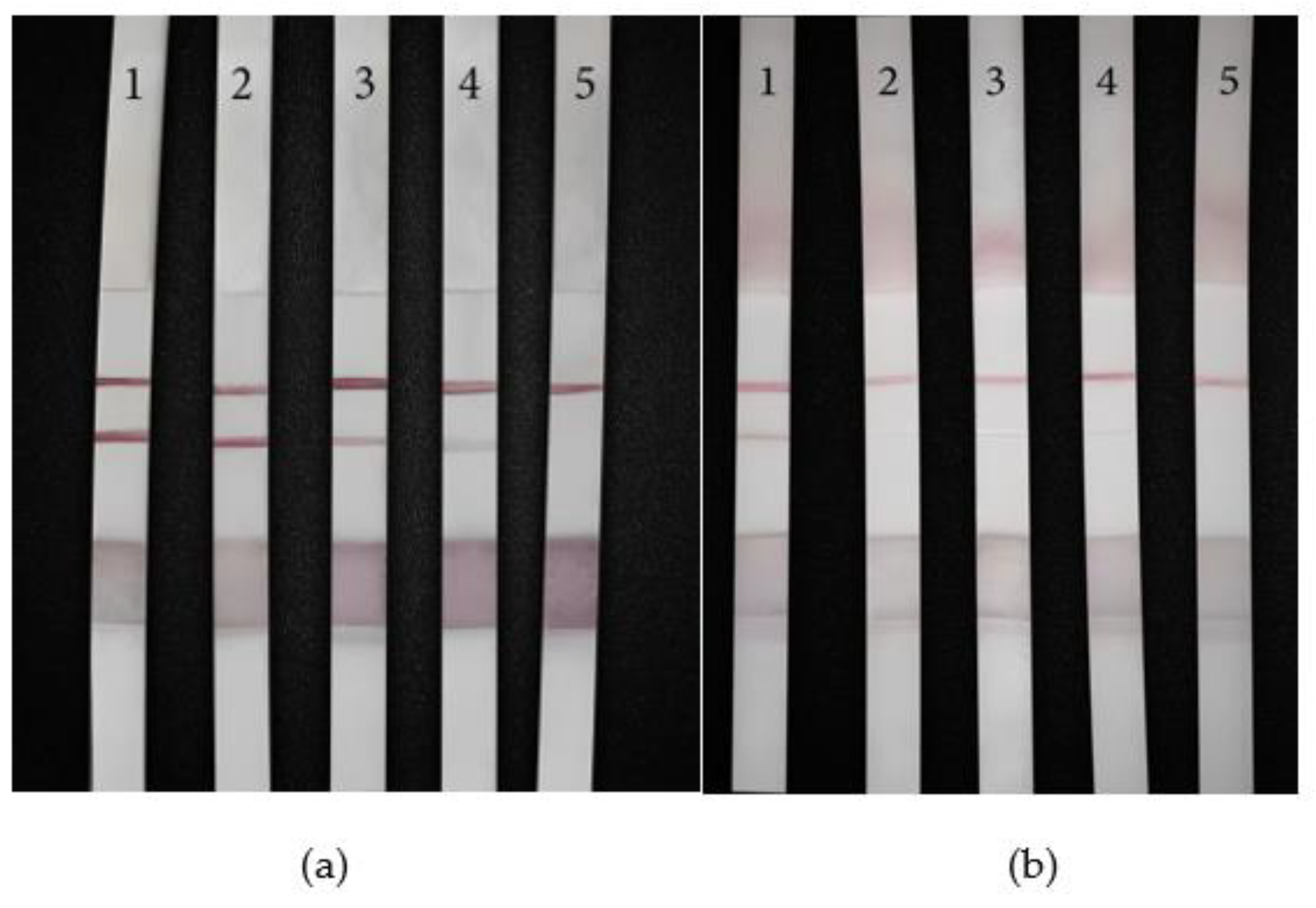 Preprints 71181 g010