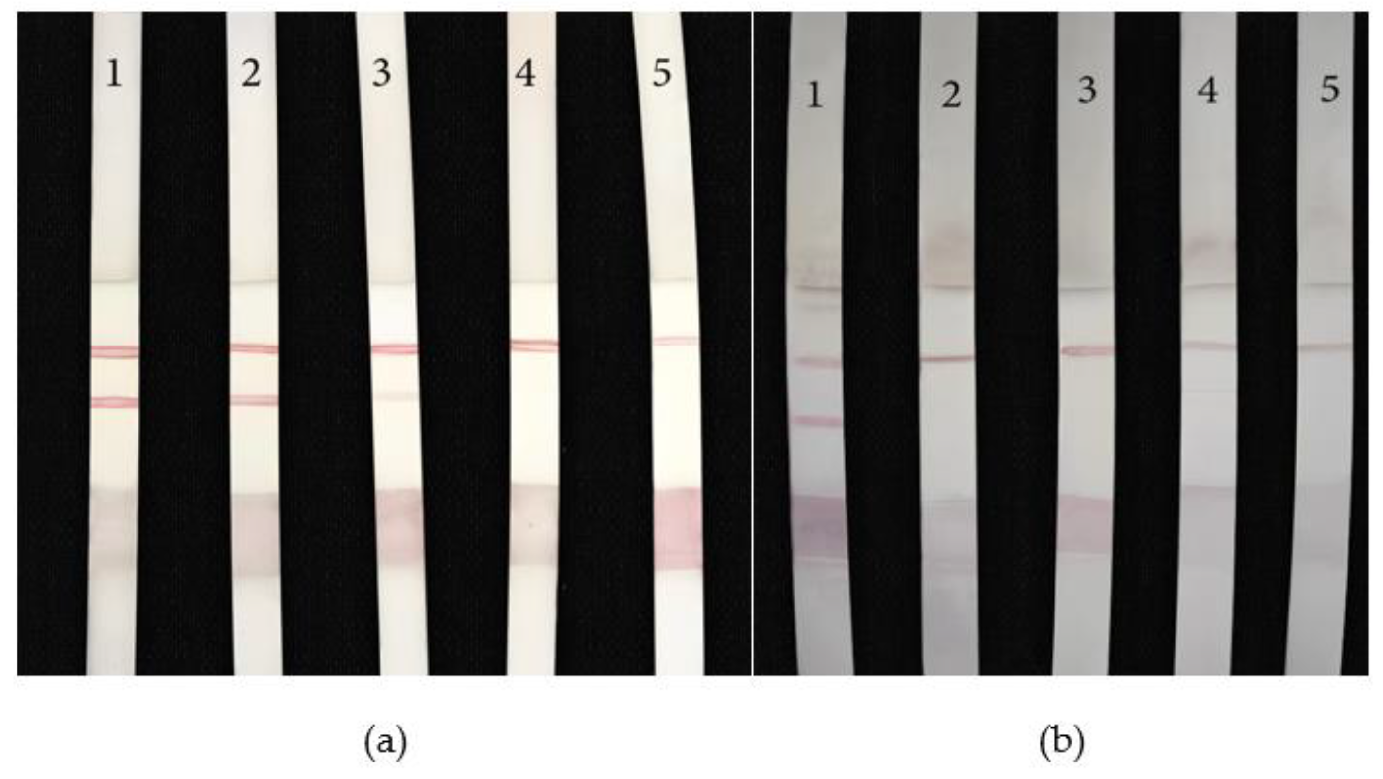 Preprints 71181 g011