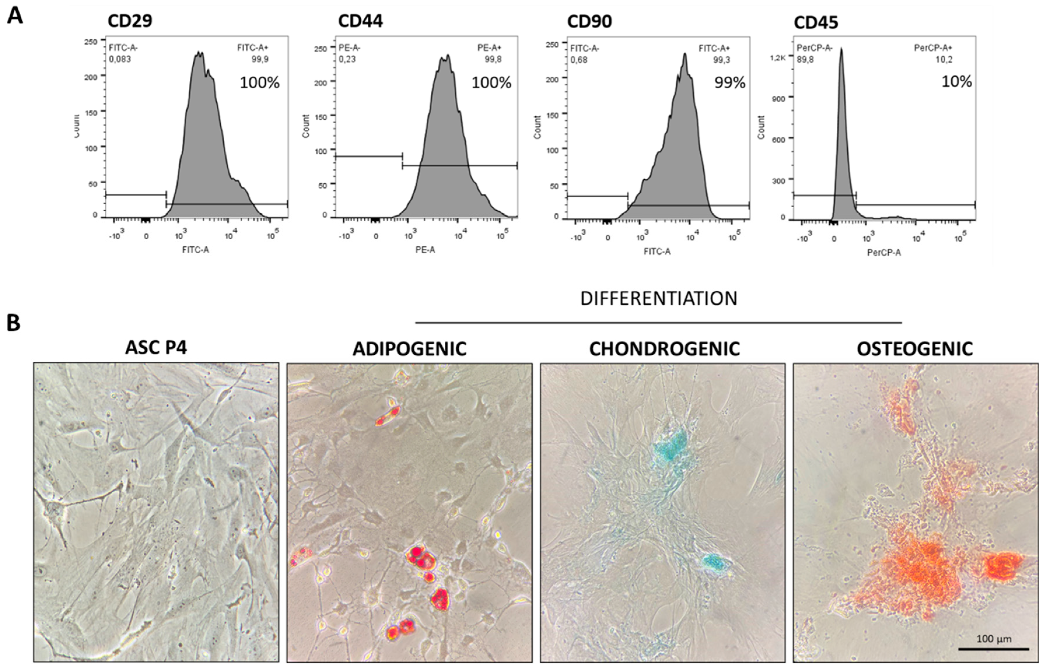 Preprints 141243 g001