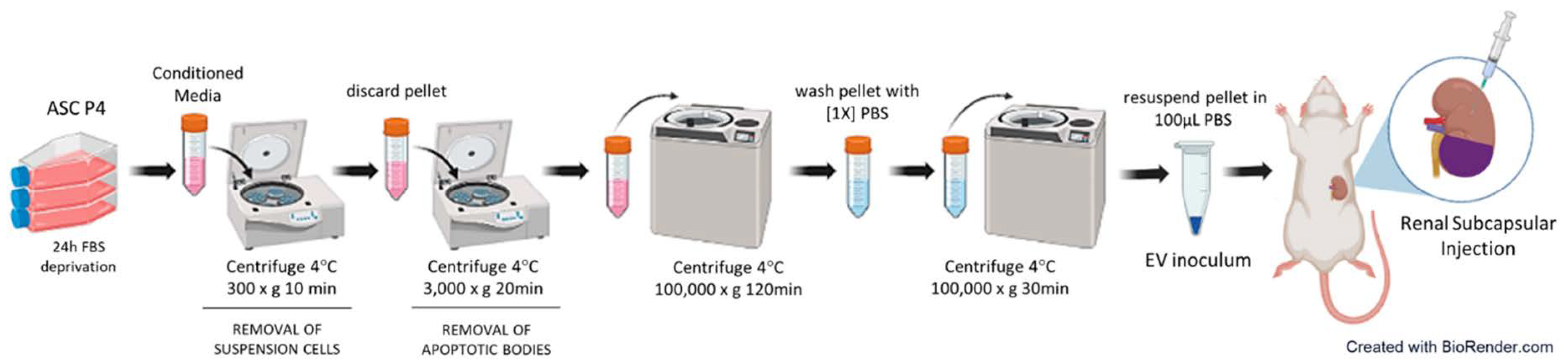 Preprints 141243 g002