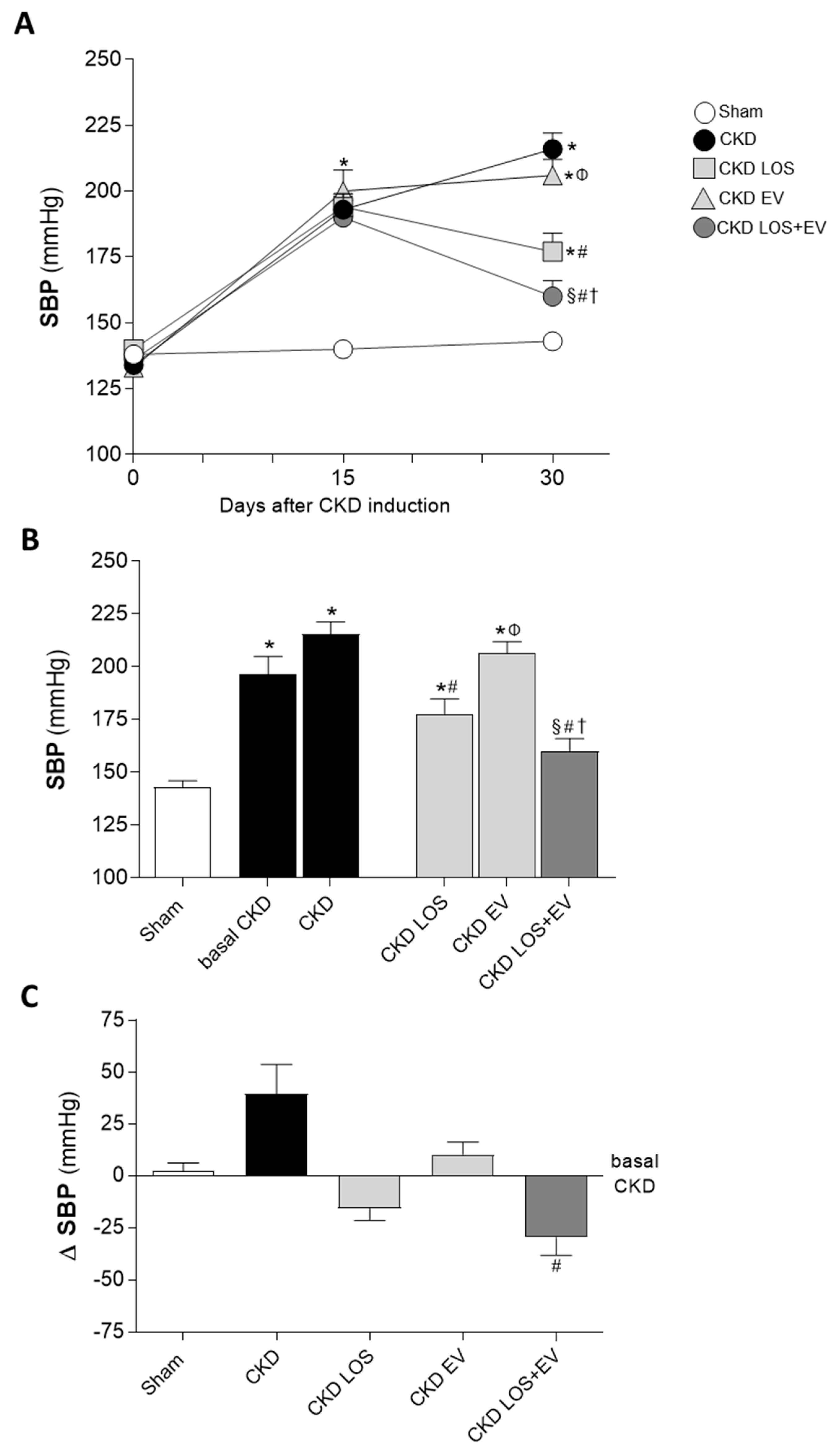 Preprints 141243 g004